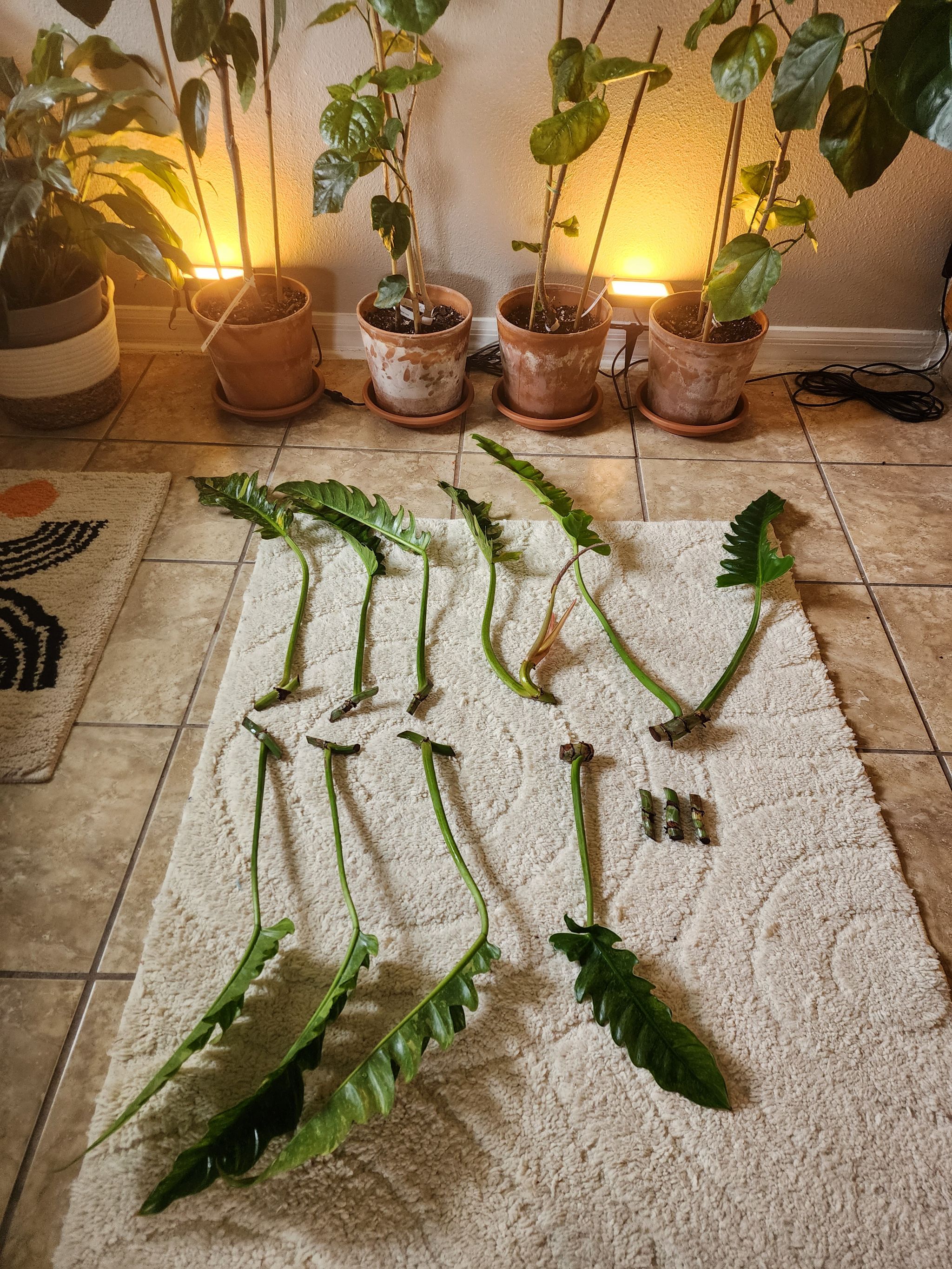 Photo from the post