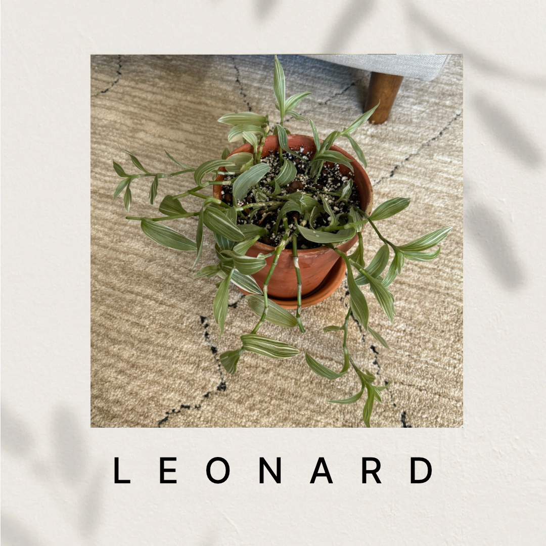 Leonard