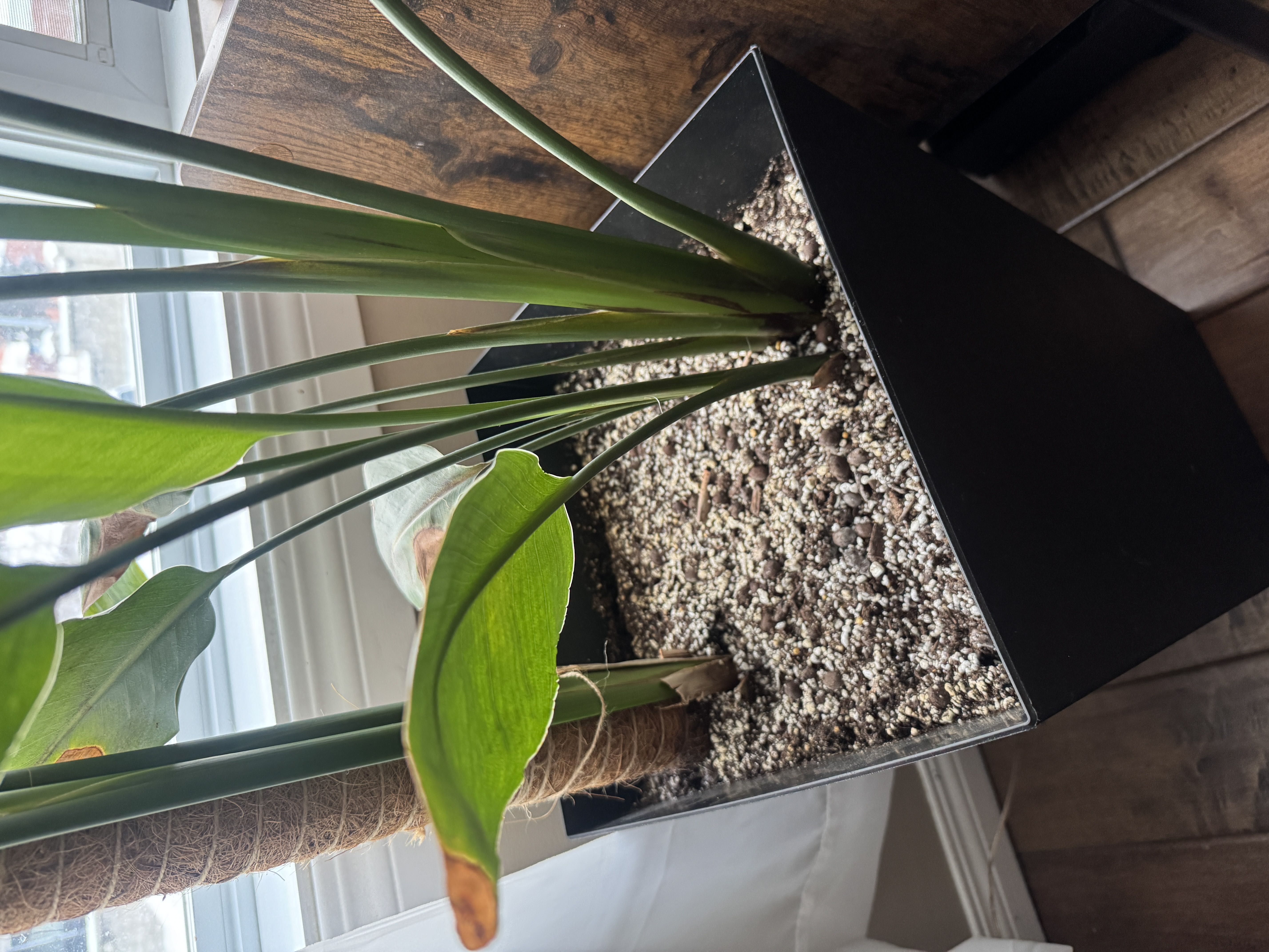 Photo from the post