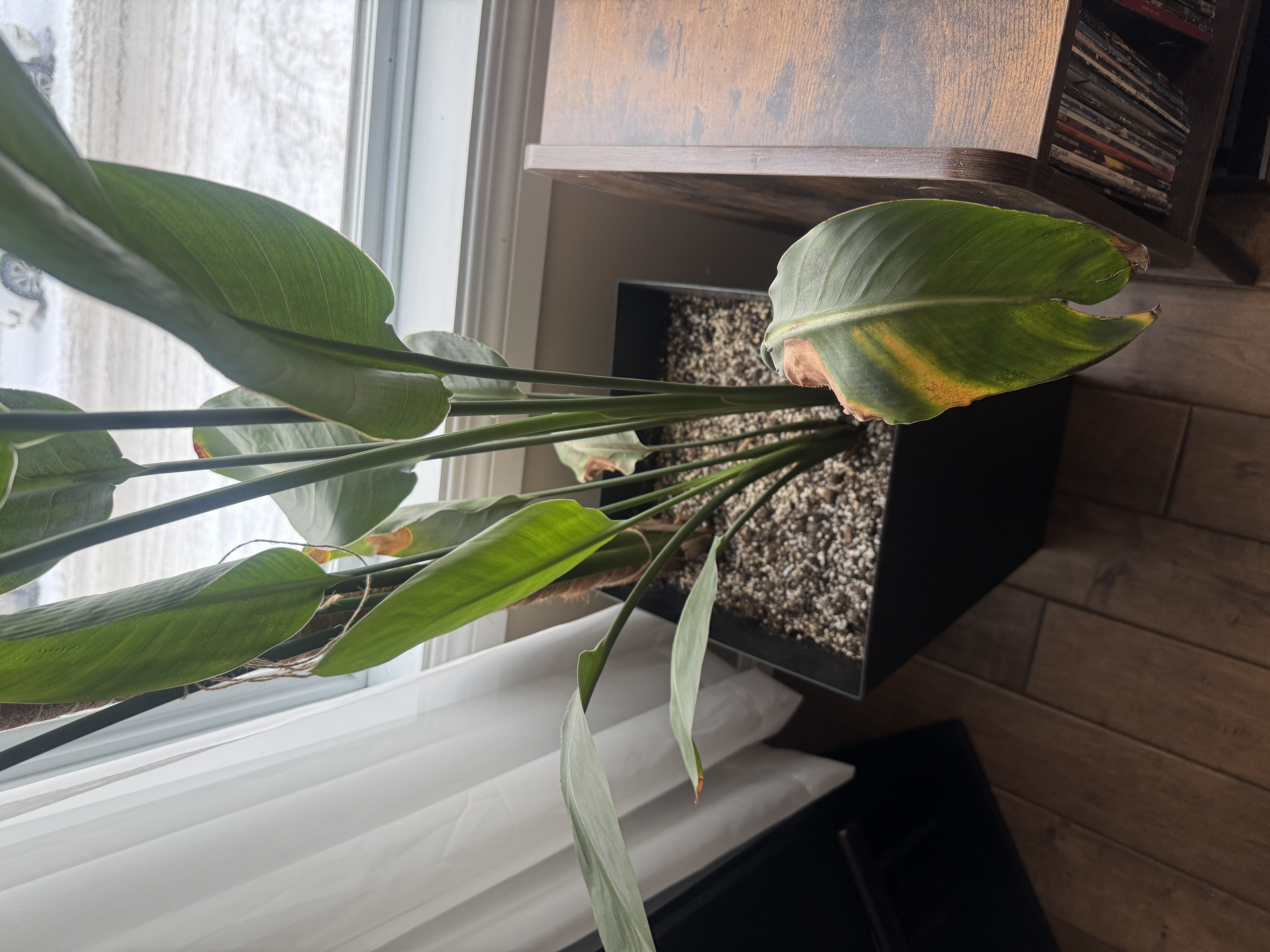 Photo from the post