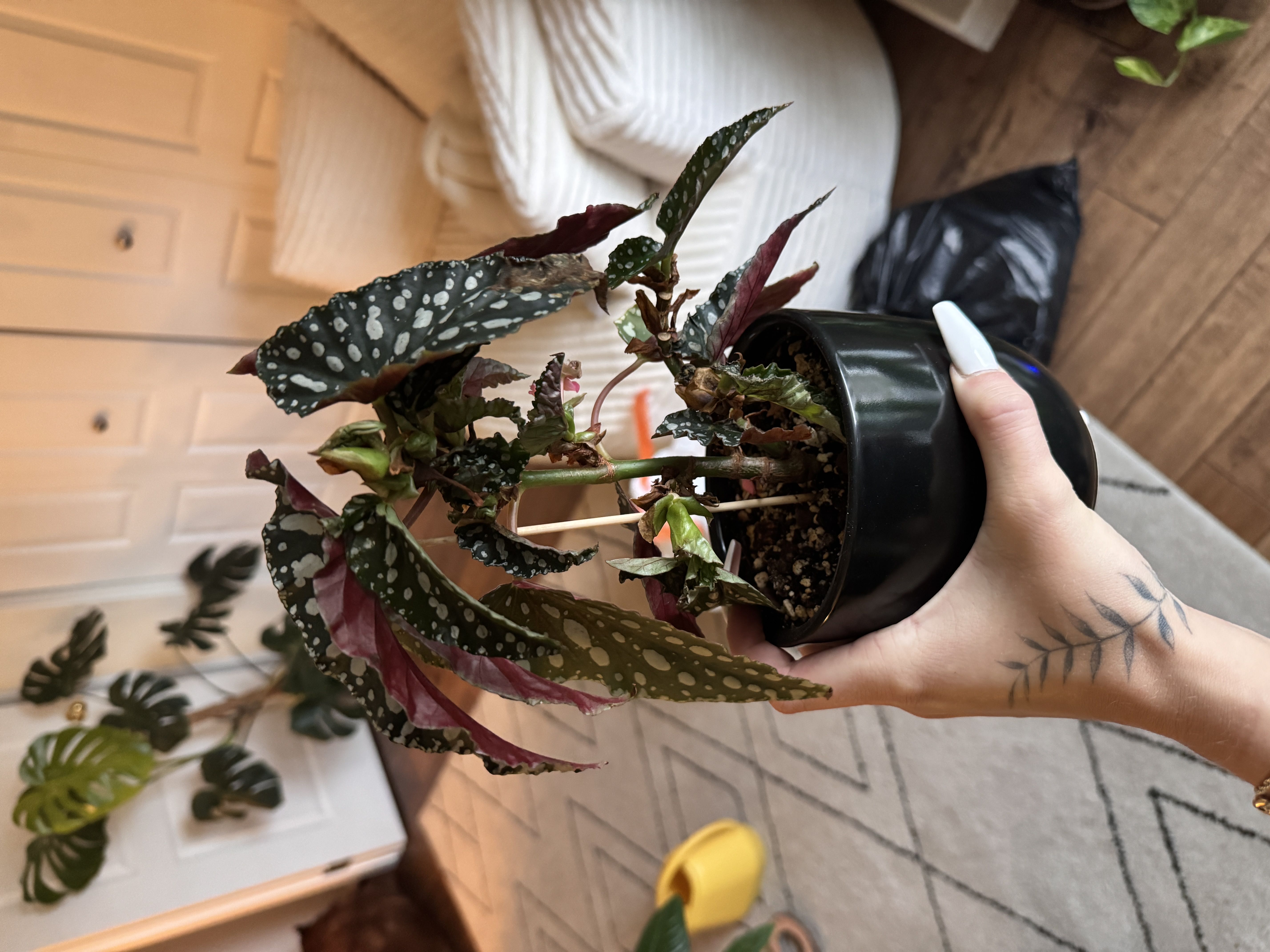 Photo from the post