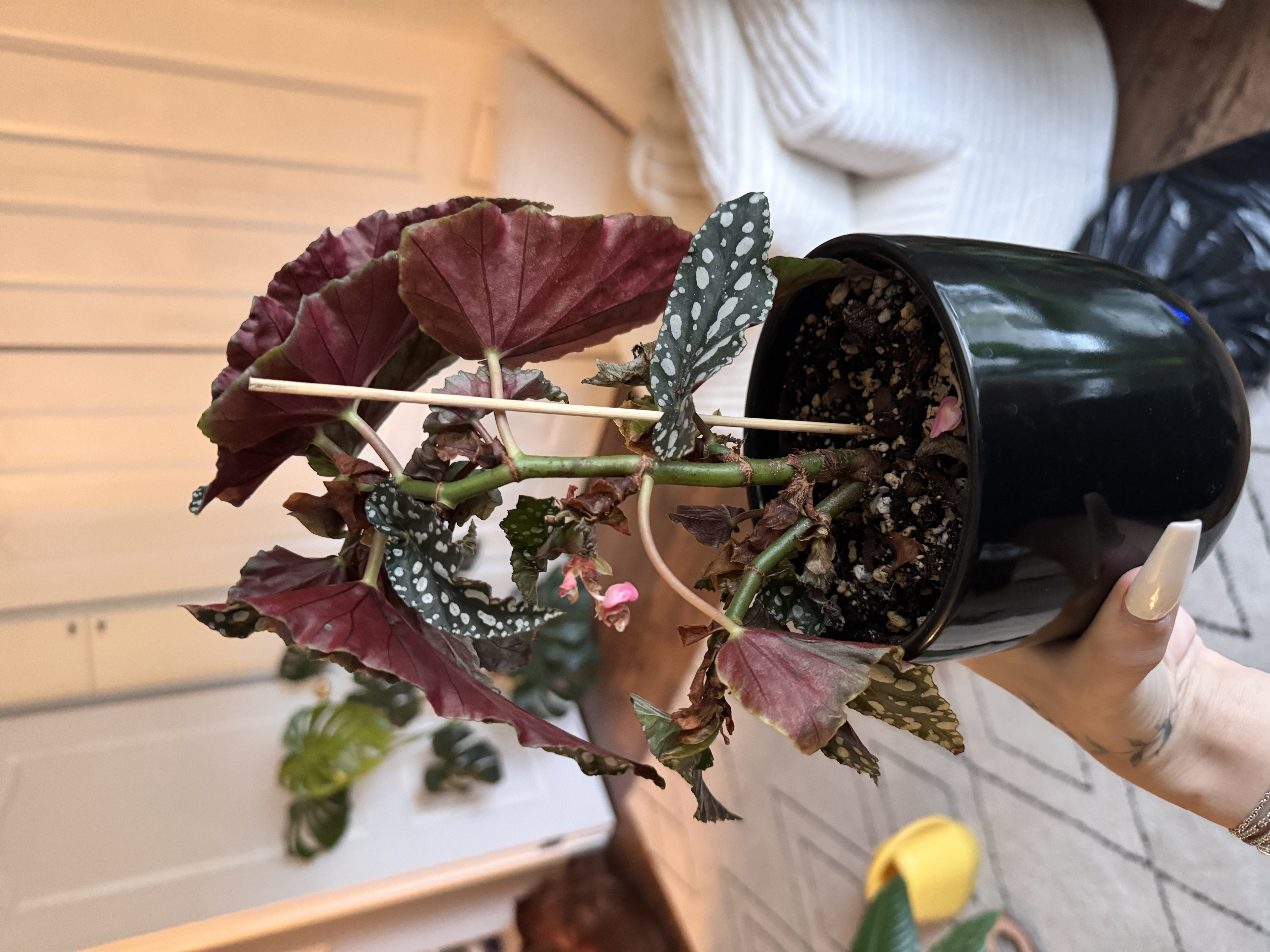 Photo from the post