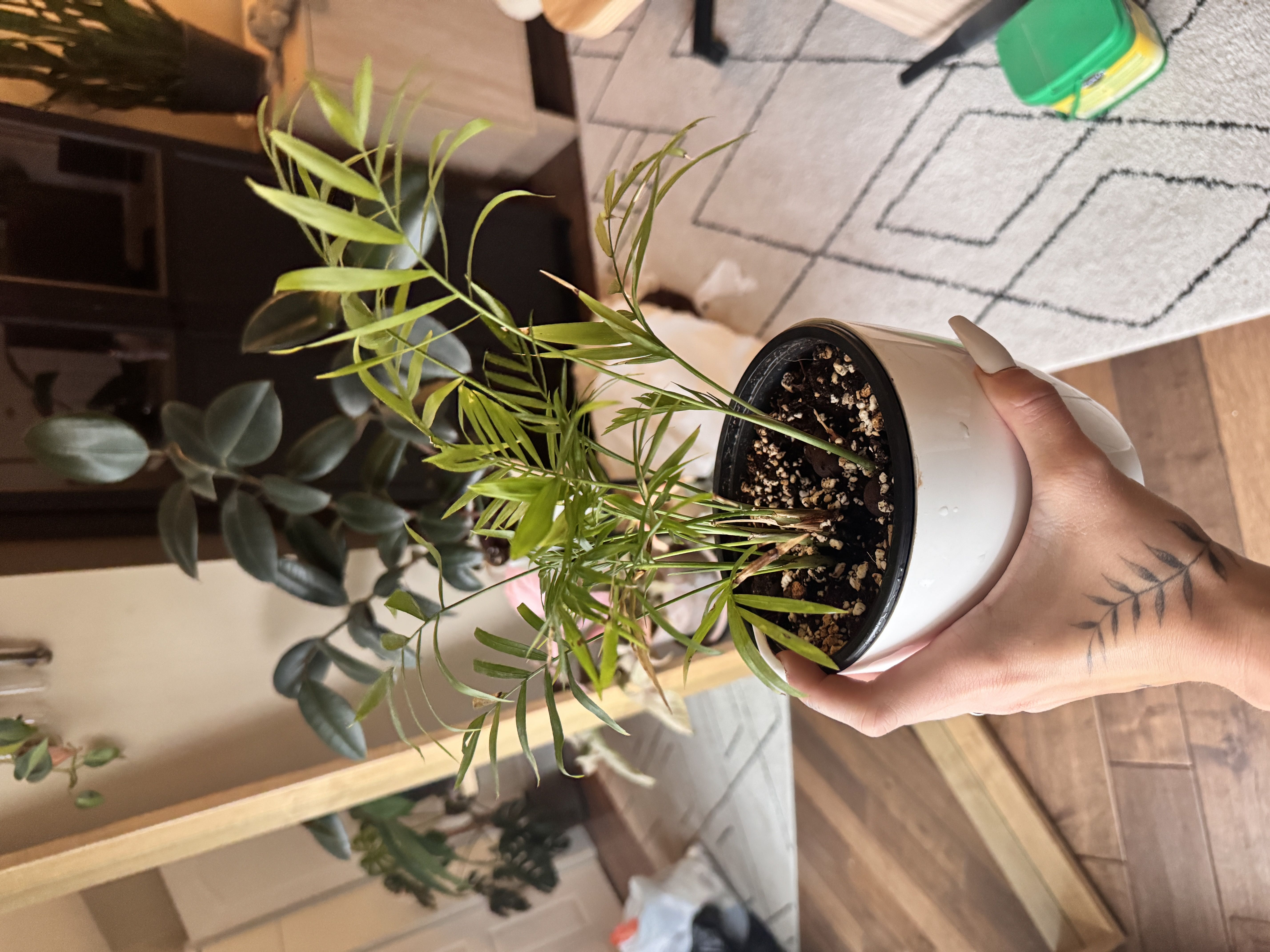 Photo from the post