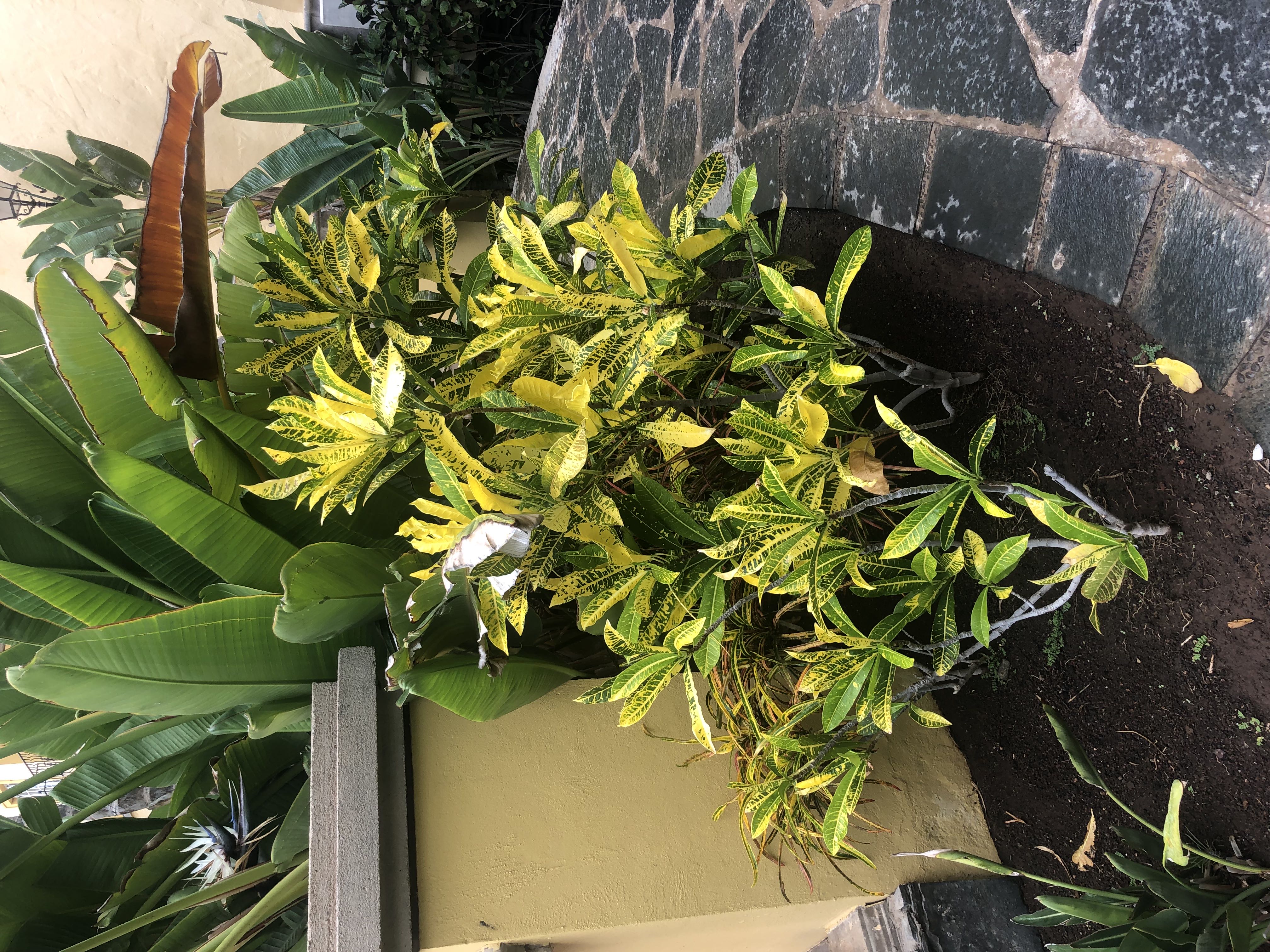 Photo from the post