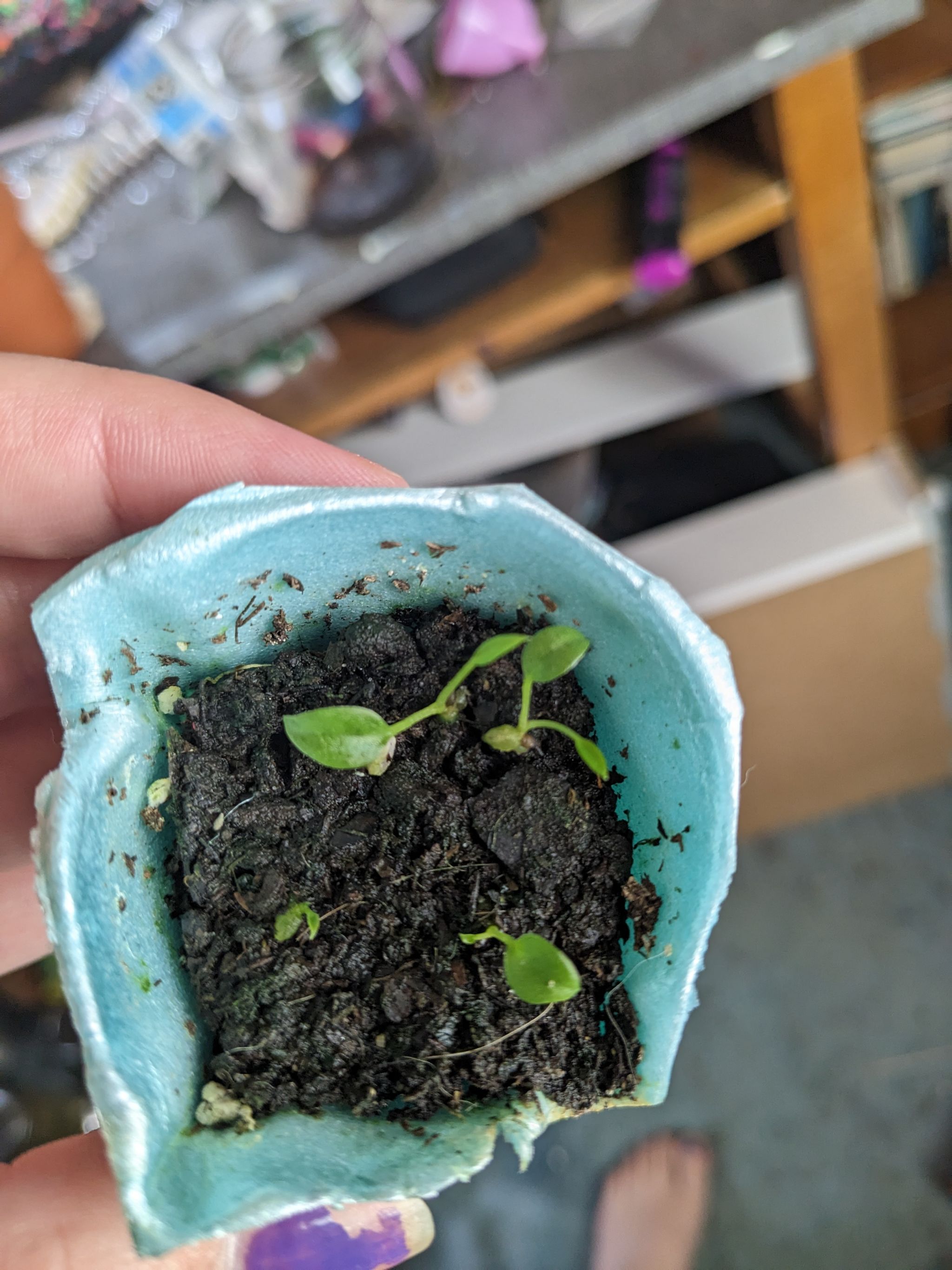 Photo from the post
