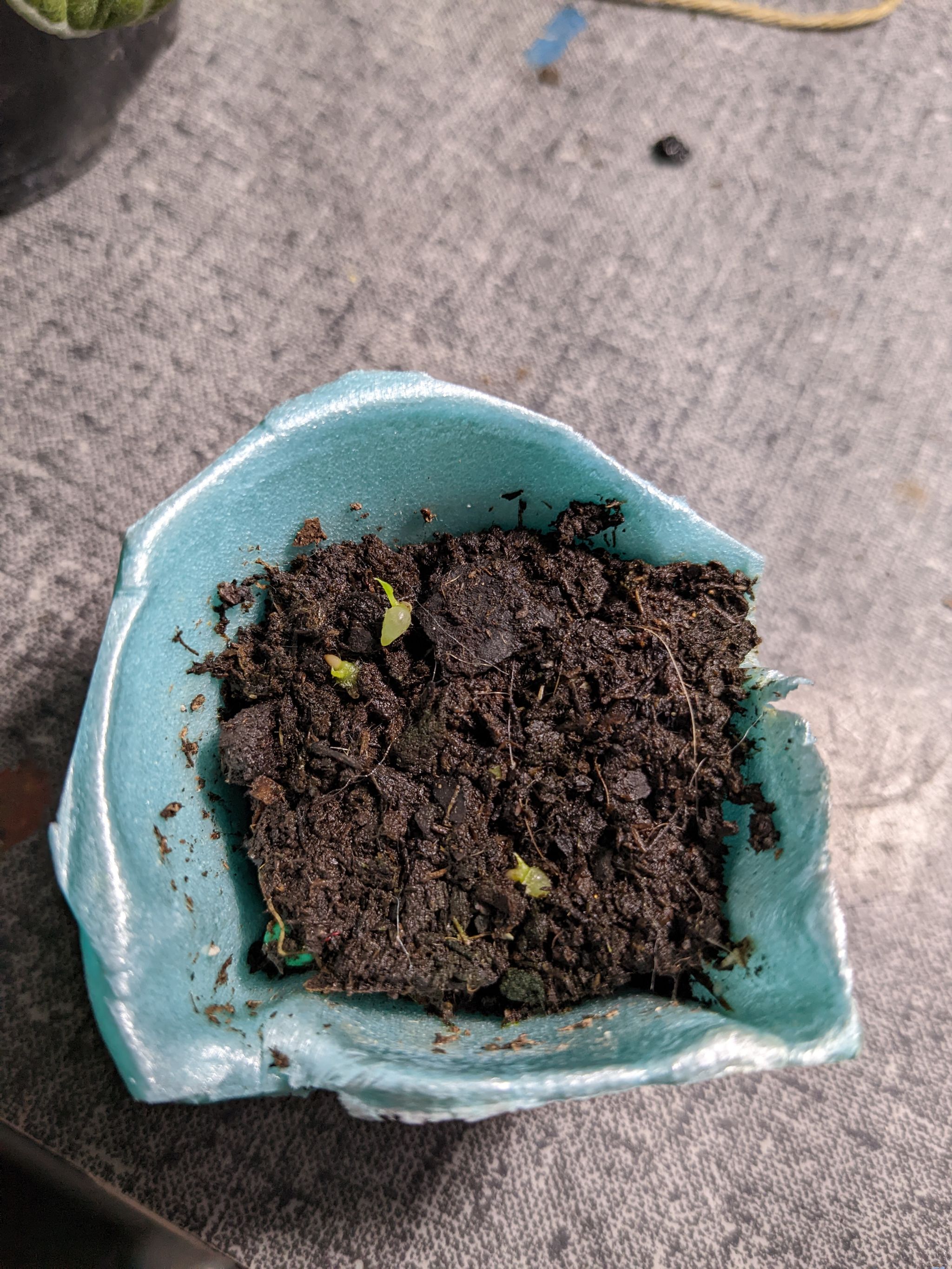 Photo from the post