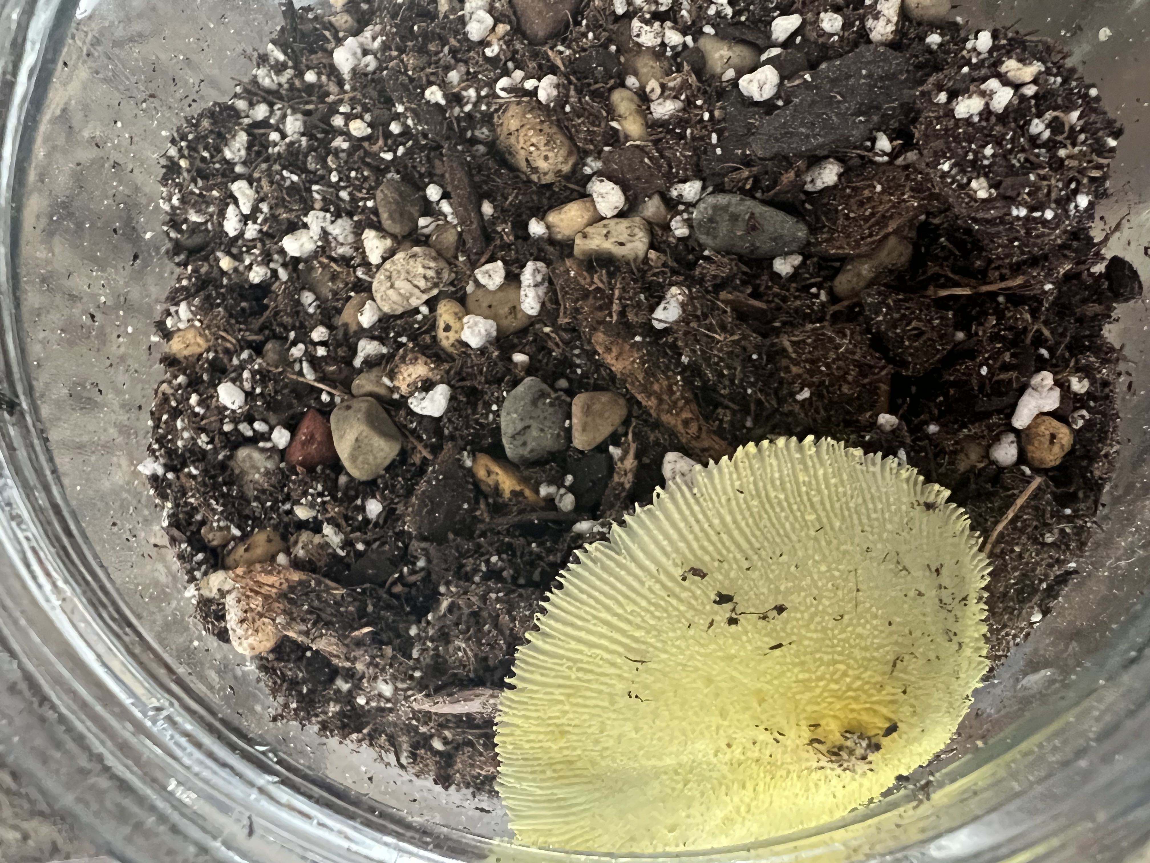Photo from the post