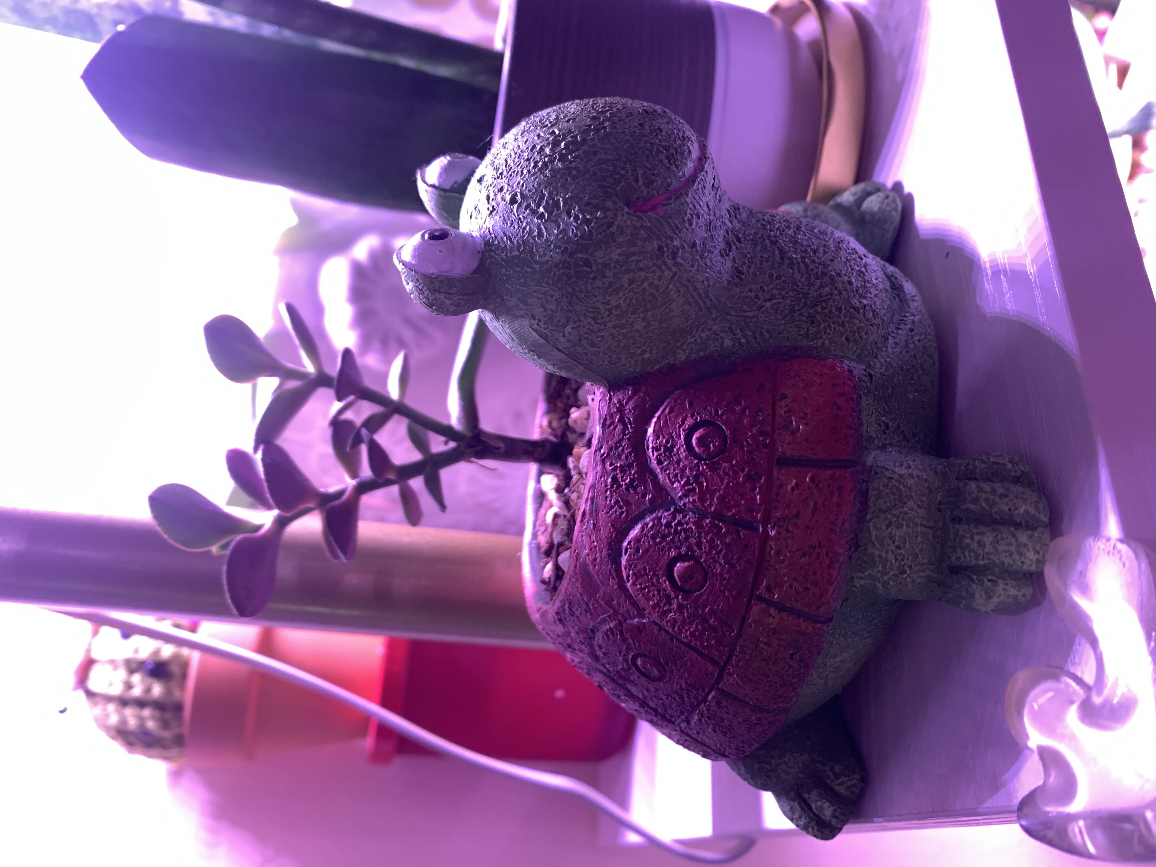 Photo from the post