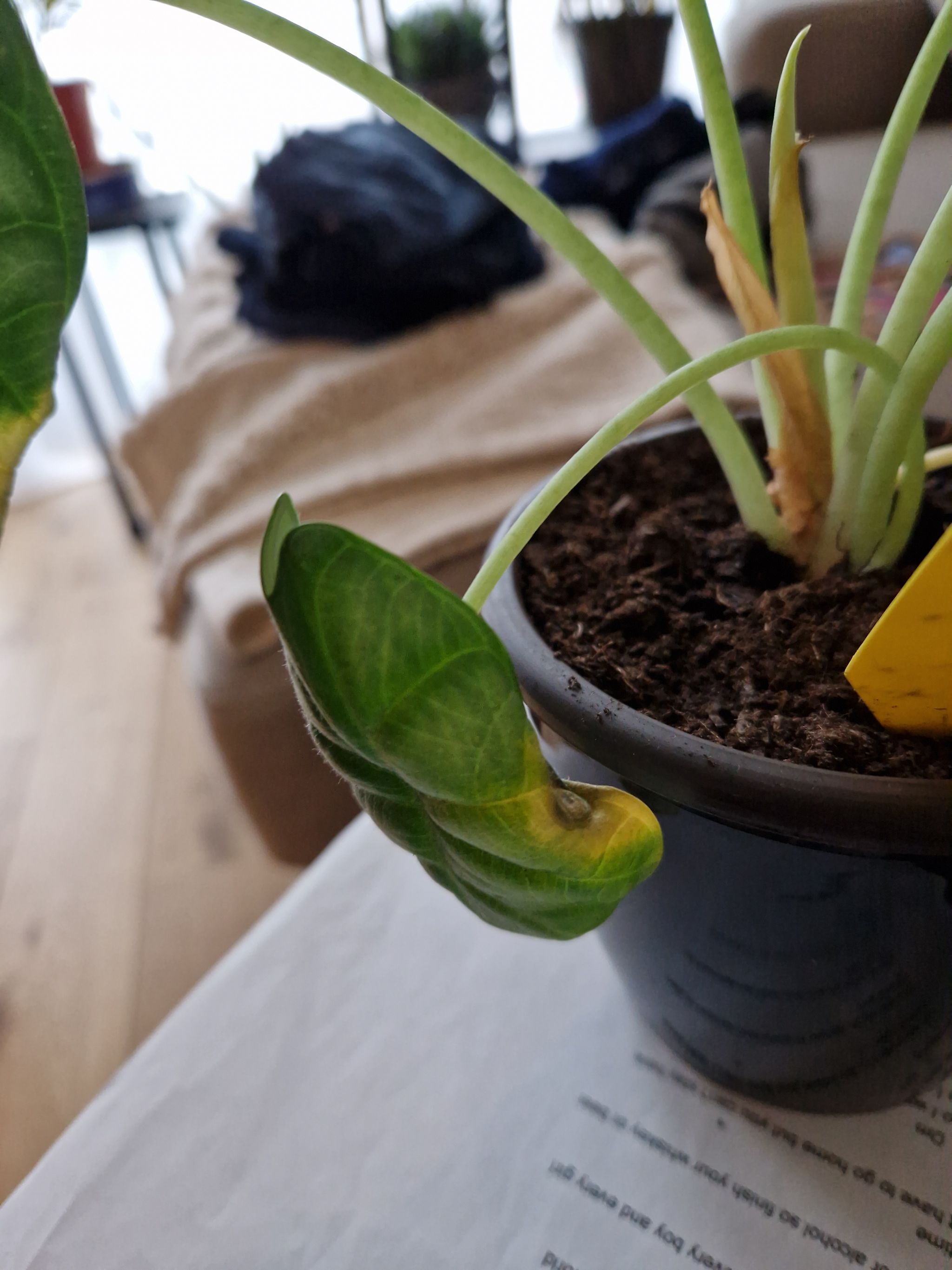 Photo from the post