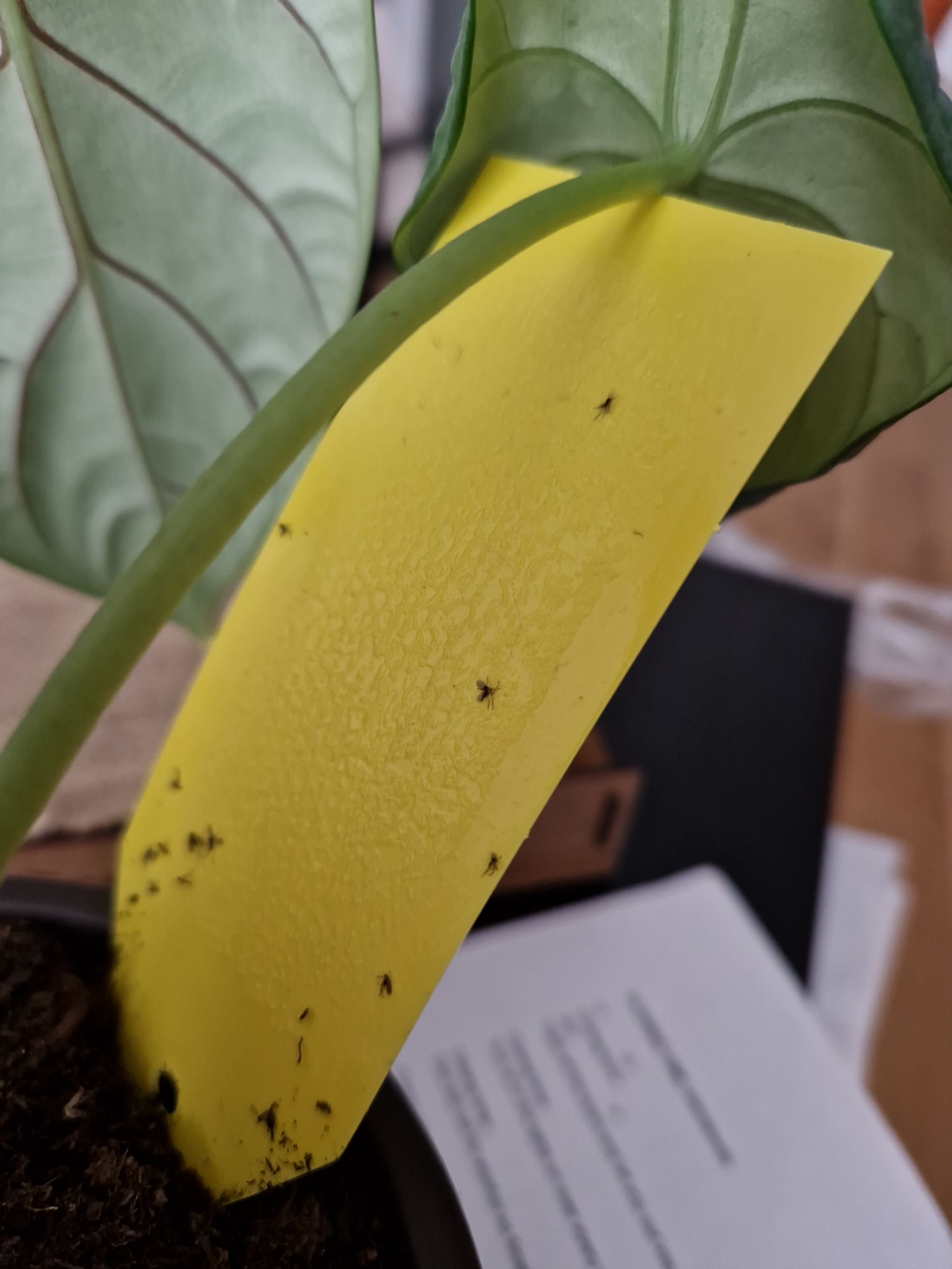 Photo from the post