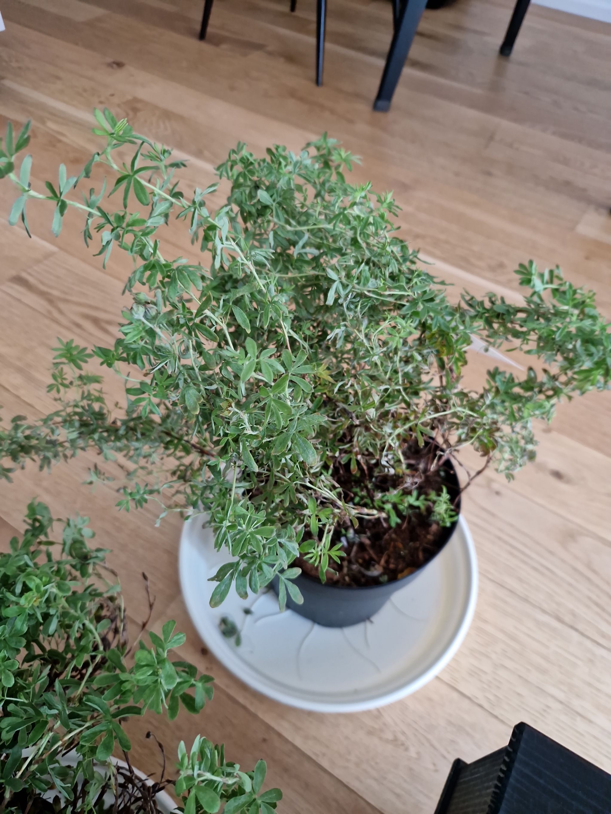 Photo from the post