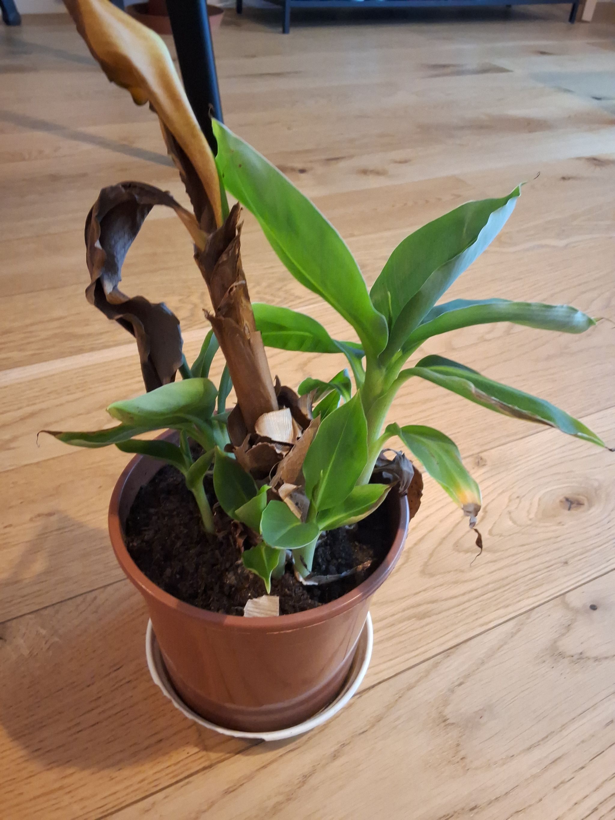 Photo from the post