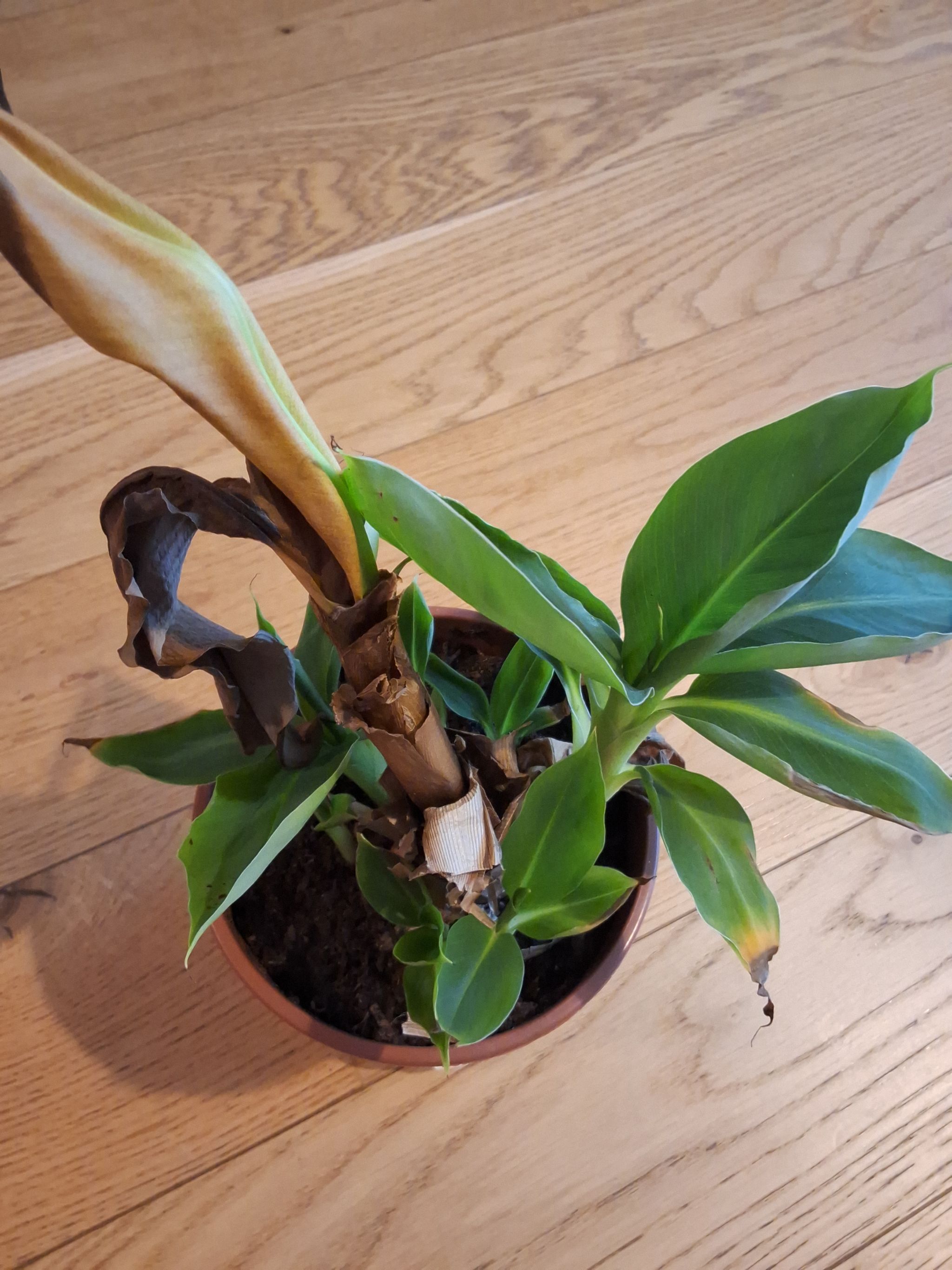 Photo from the post