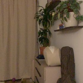 Photo of the plant species Dracaena Elegance by @GermaneTutsan named Prince on Greg, the plant care app