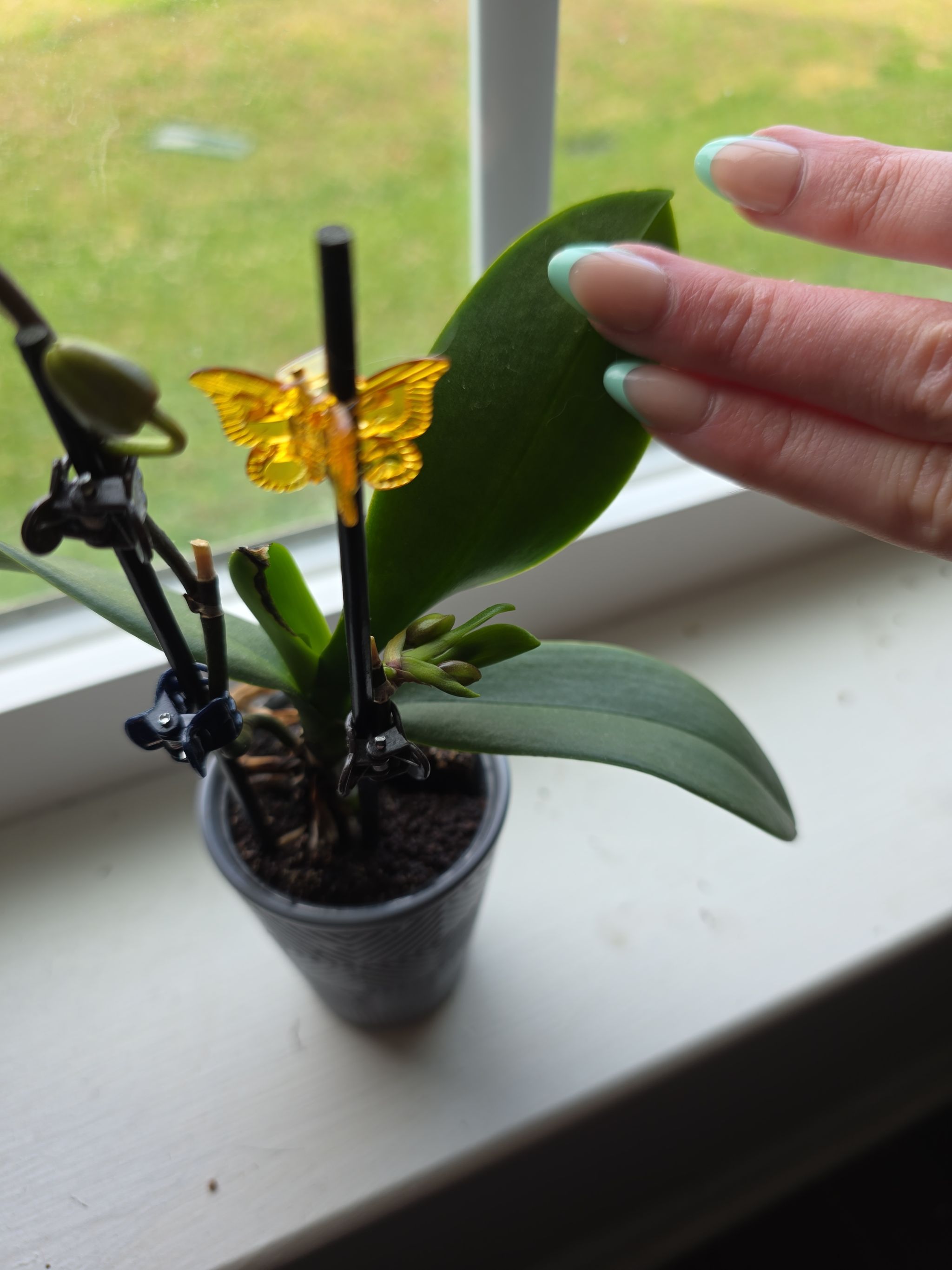 Photo from the post