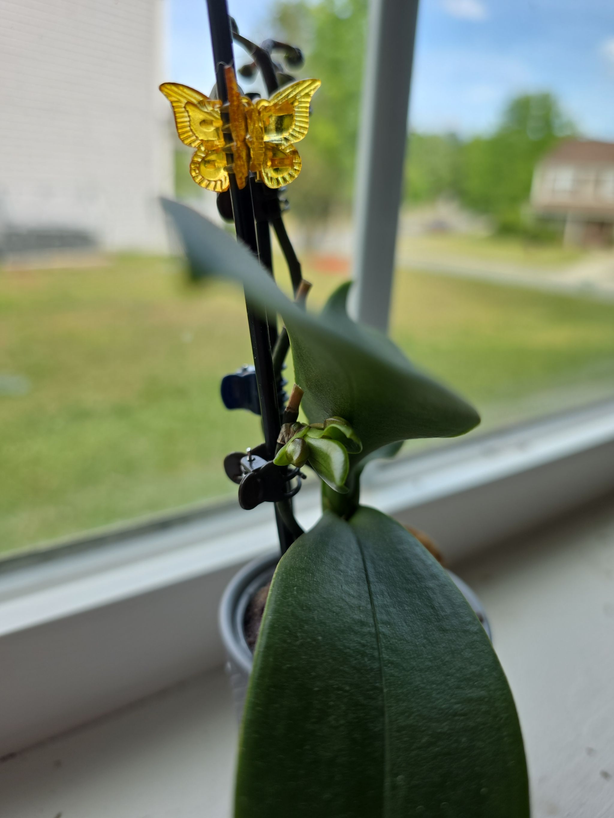Photo from the post