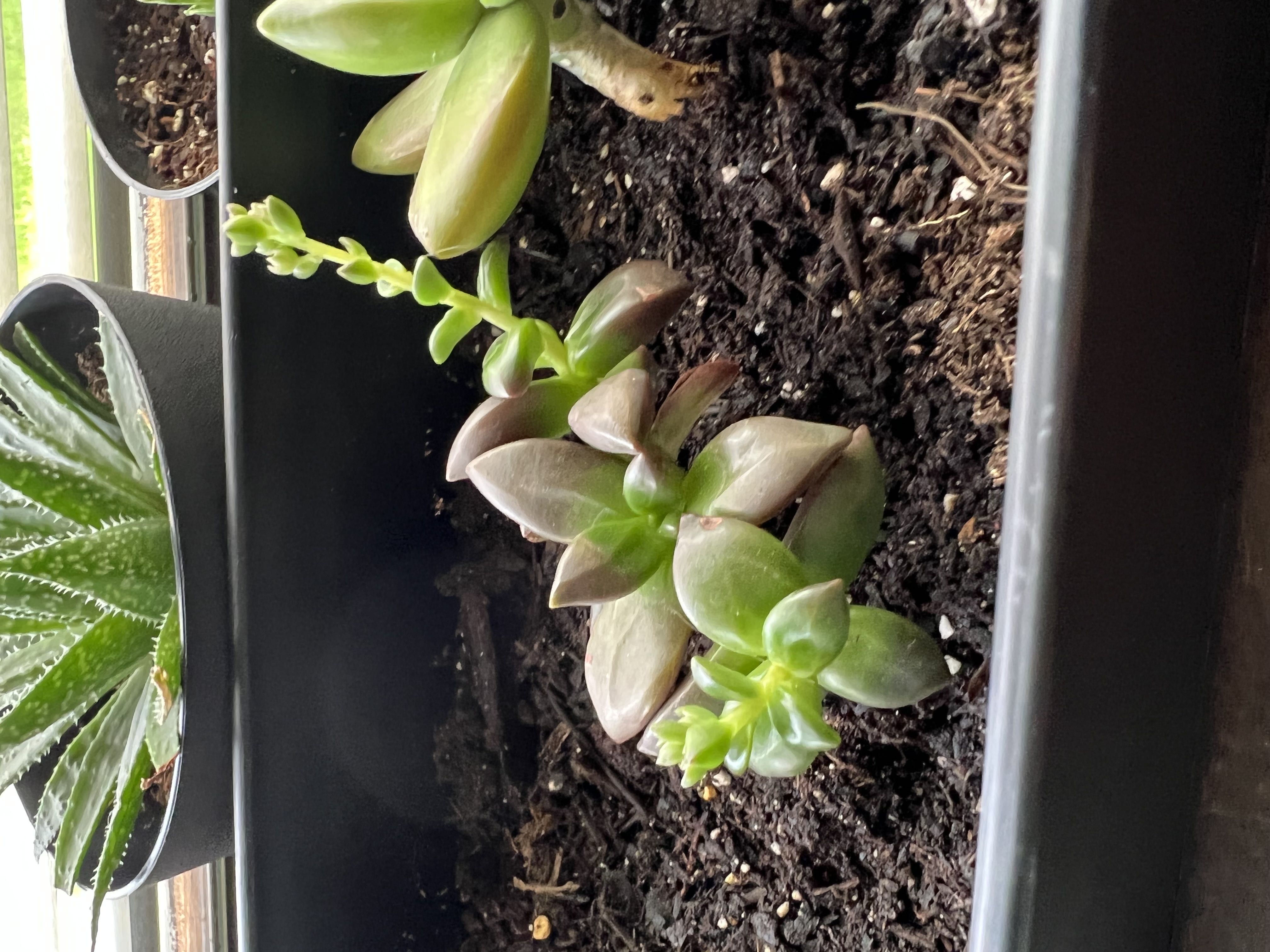 Photo from the post