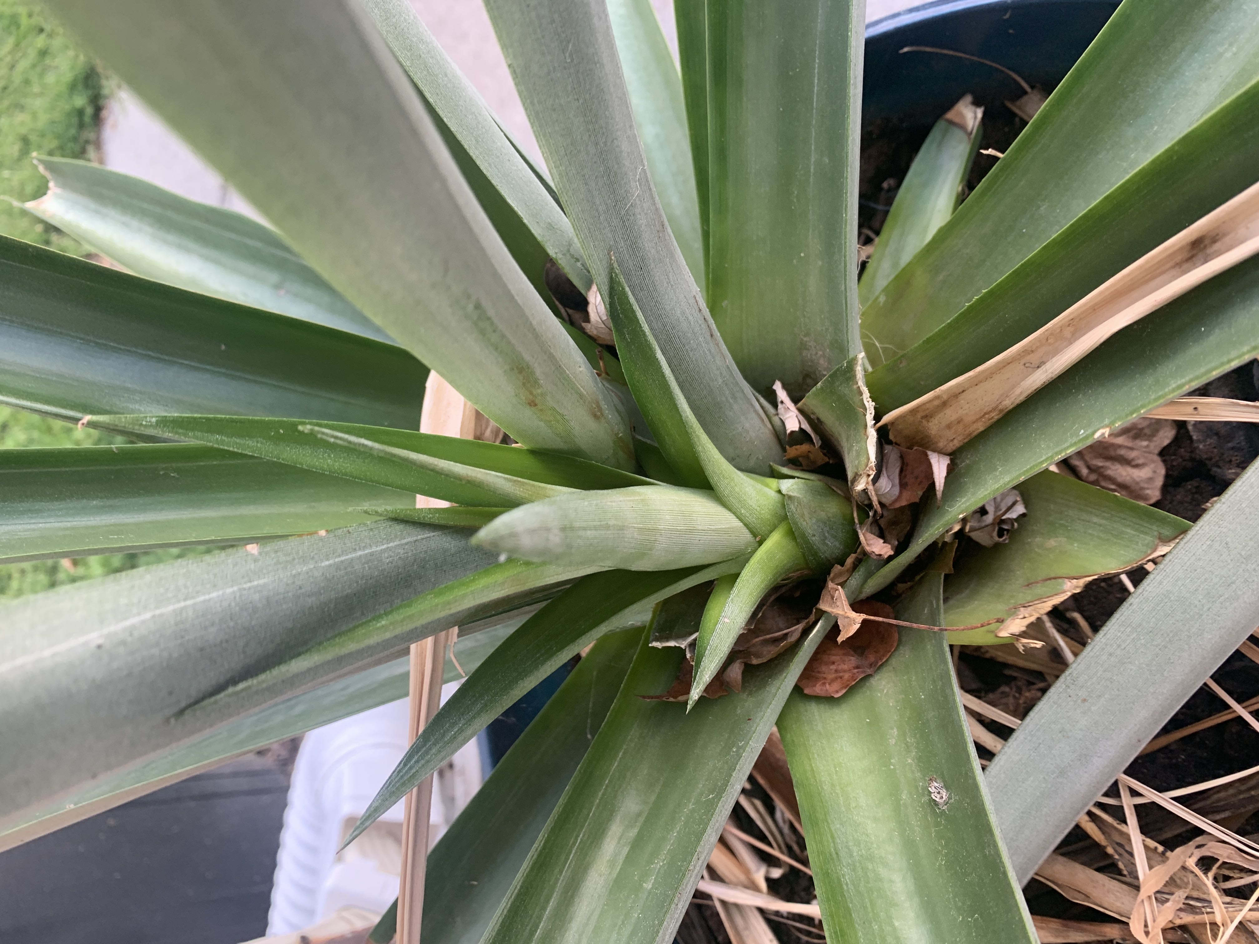 Photo from the post