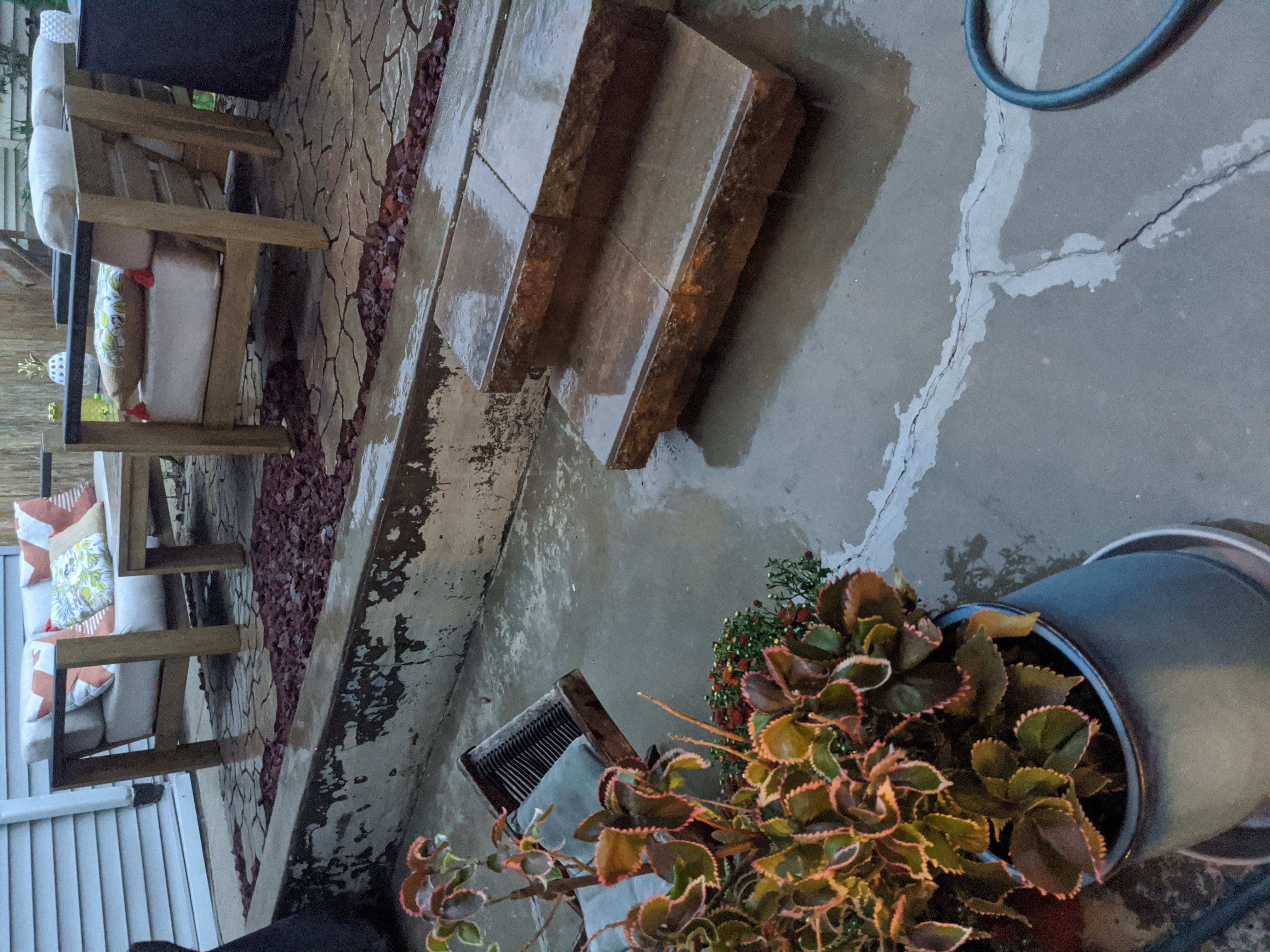 Copperleaf plant in a pot on a patio with furniture and steps in the background.