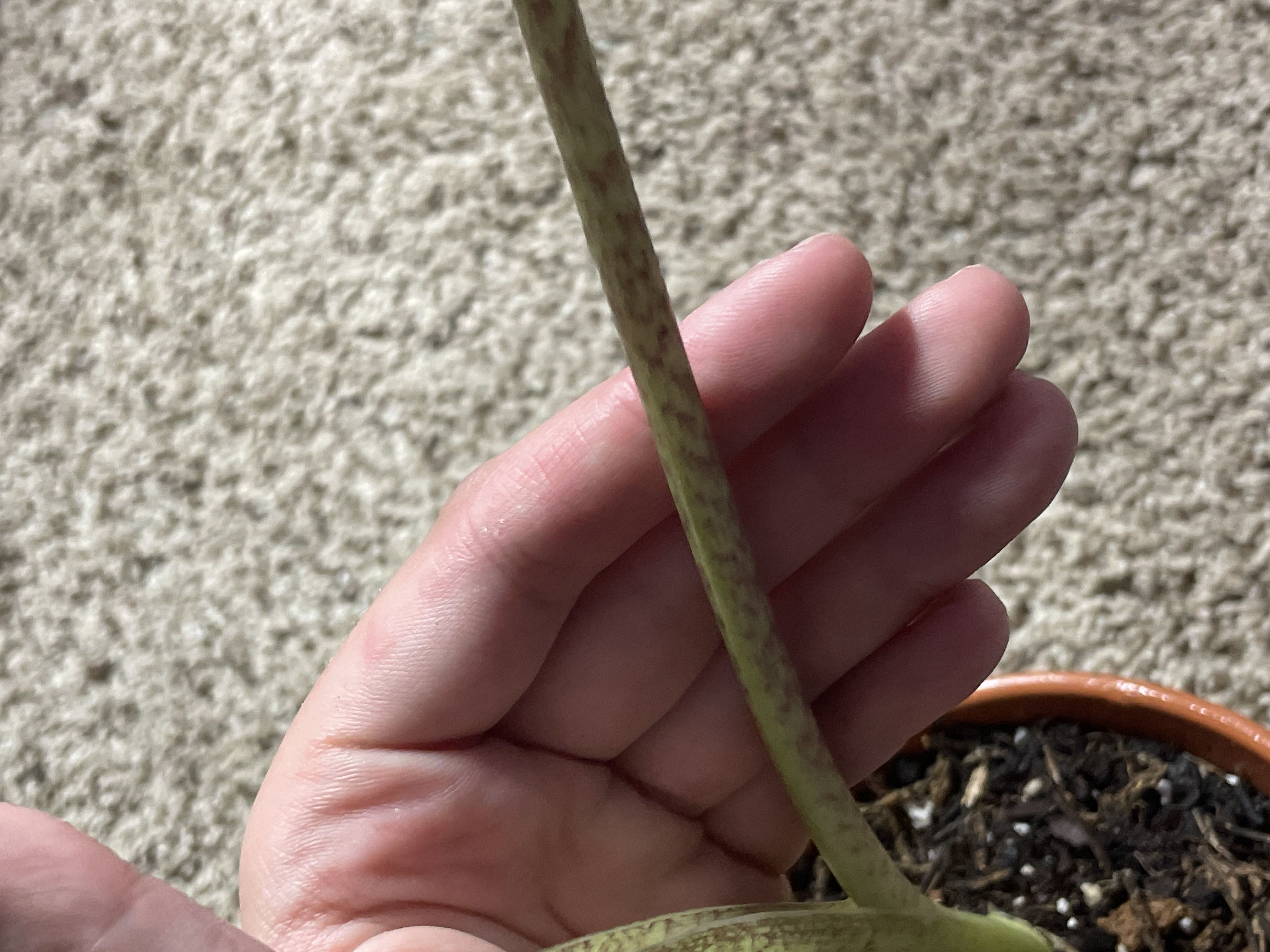 Photo from the post