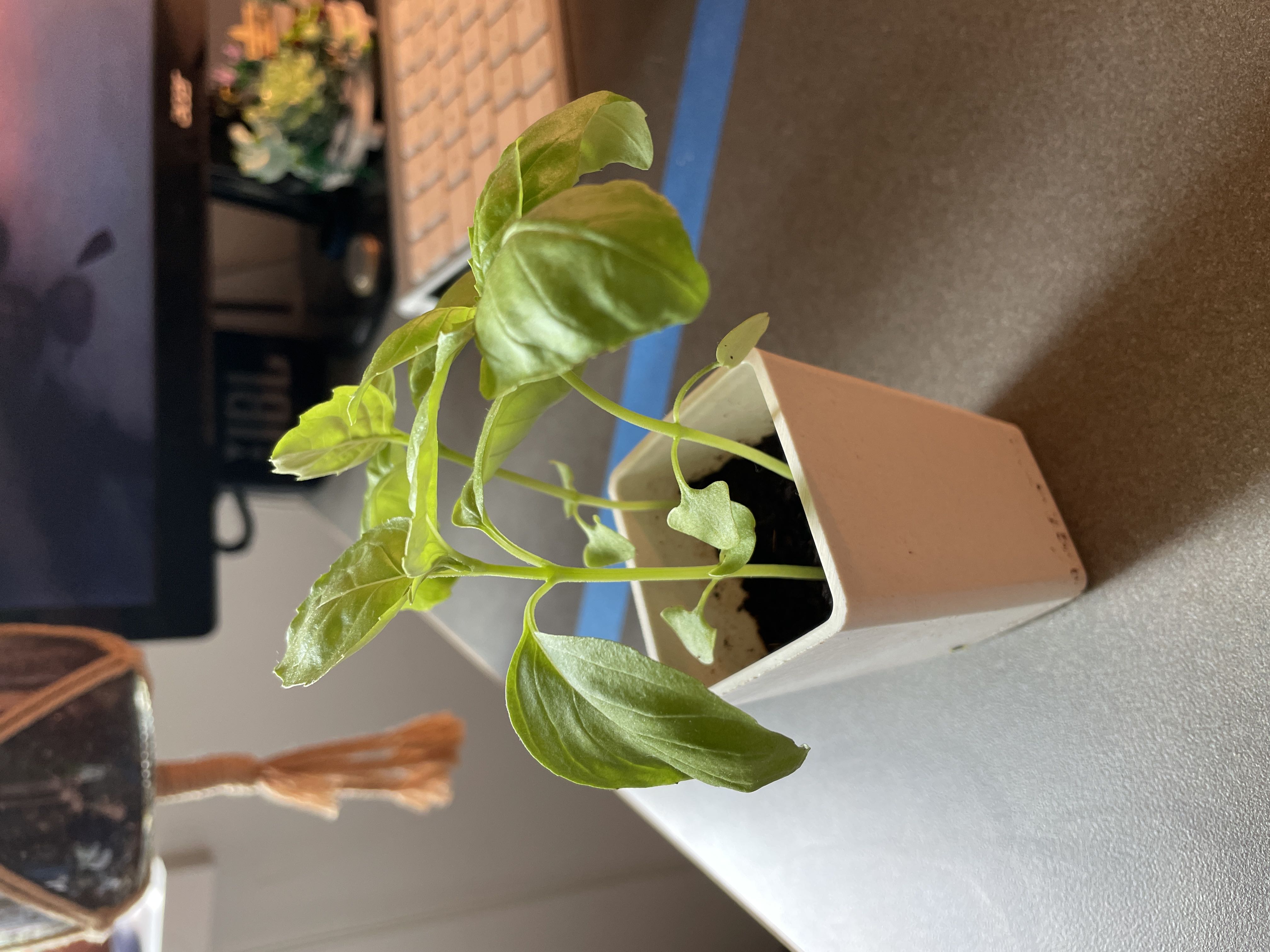 Photo from the post
