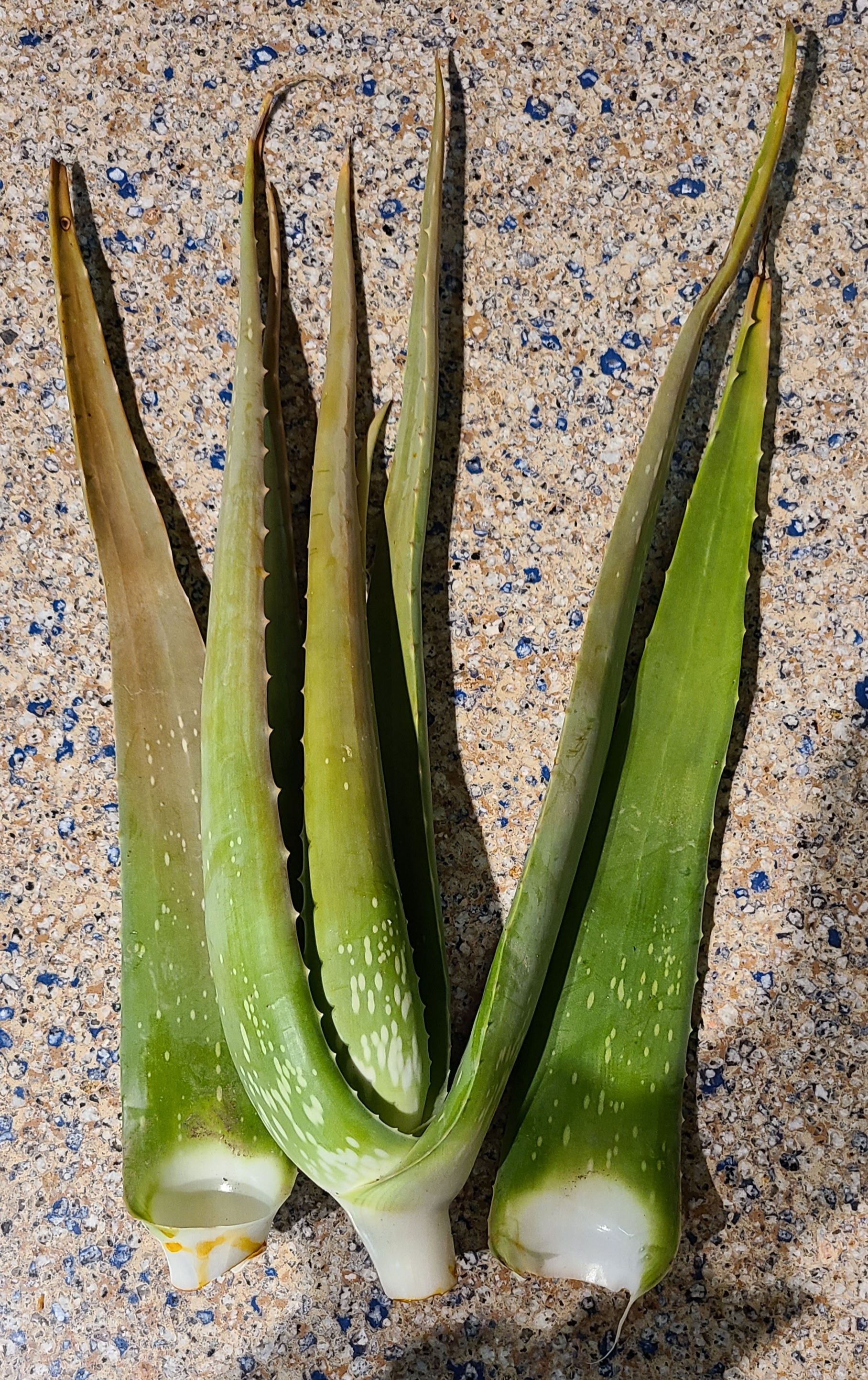 Photo from the post