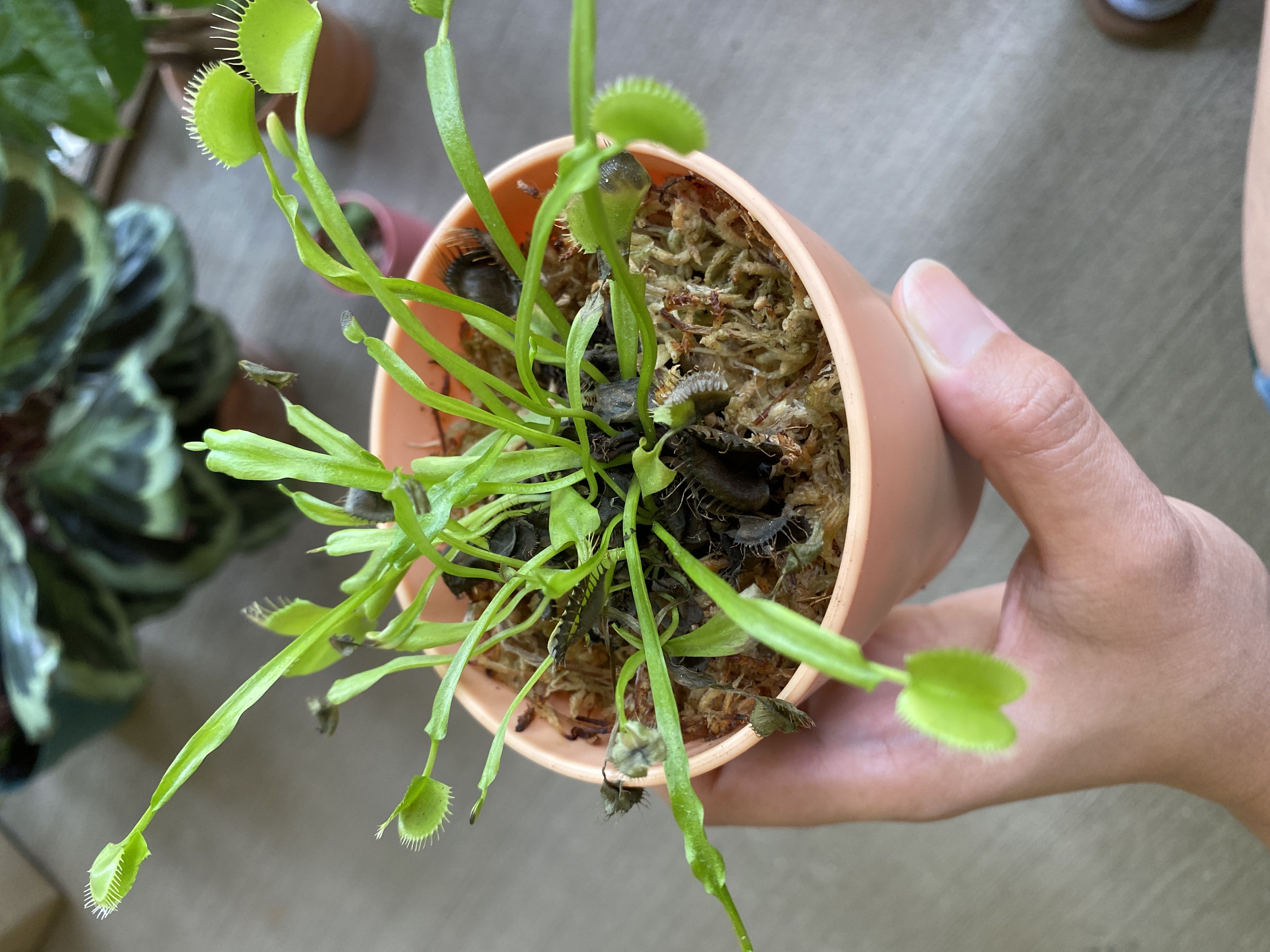 Photo from the post