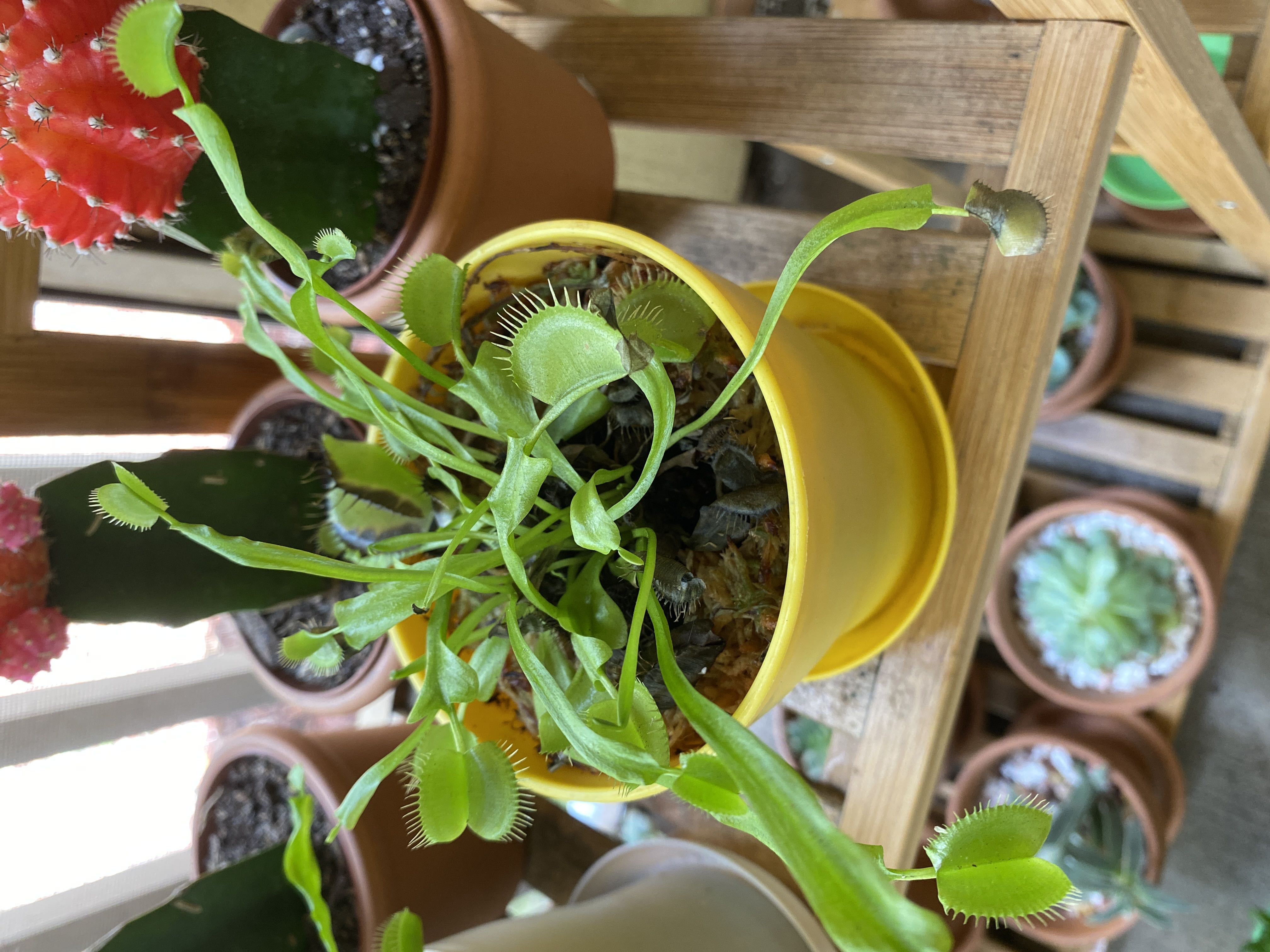 Photo from the post