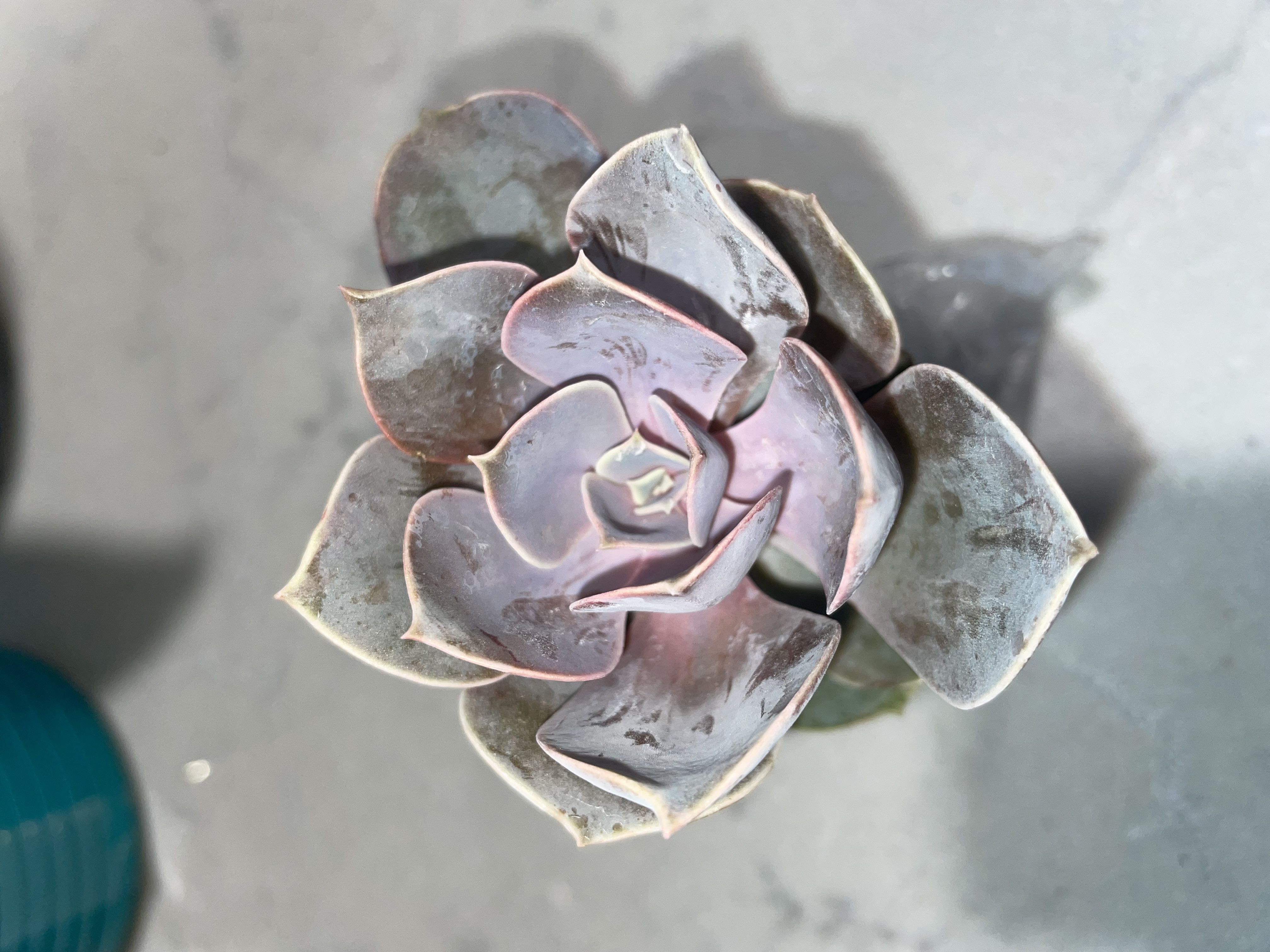 Photo from the post