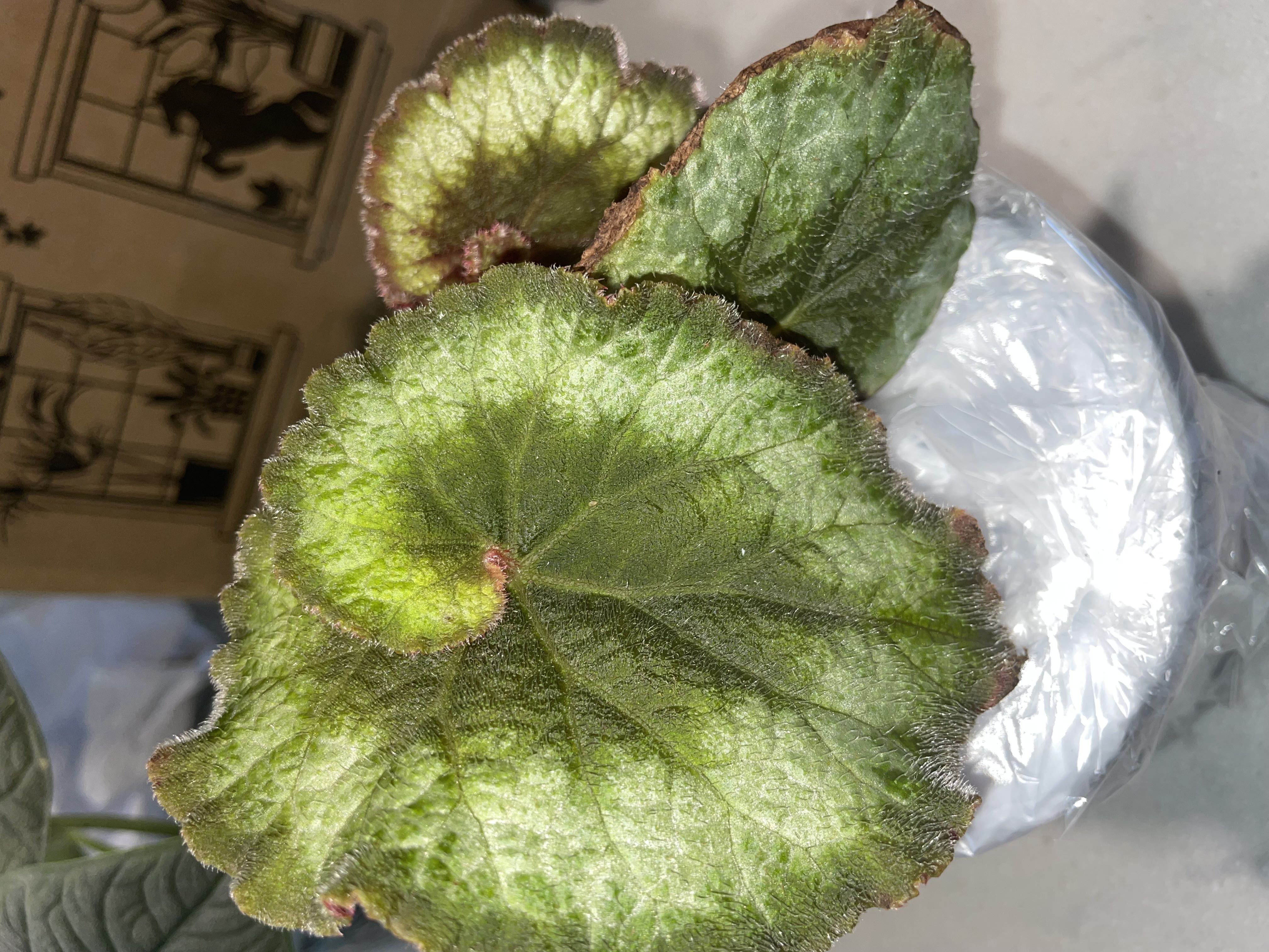 Photo from the post