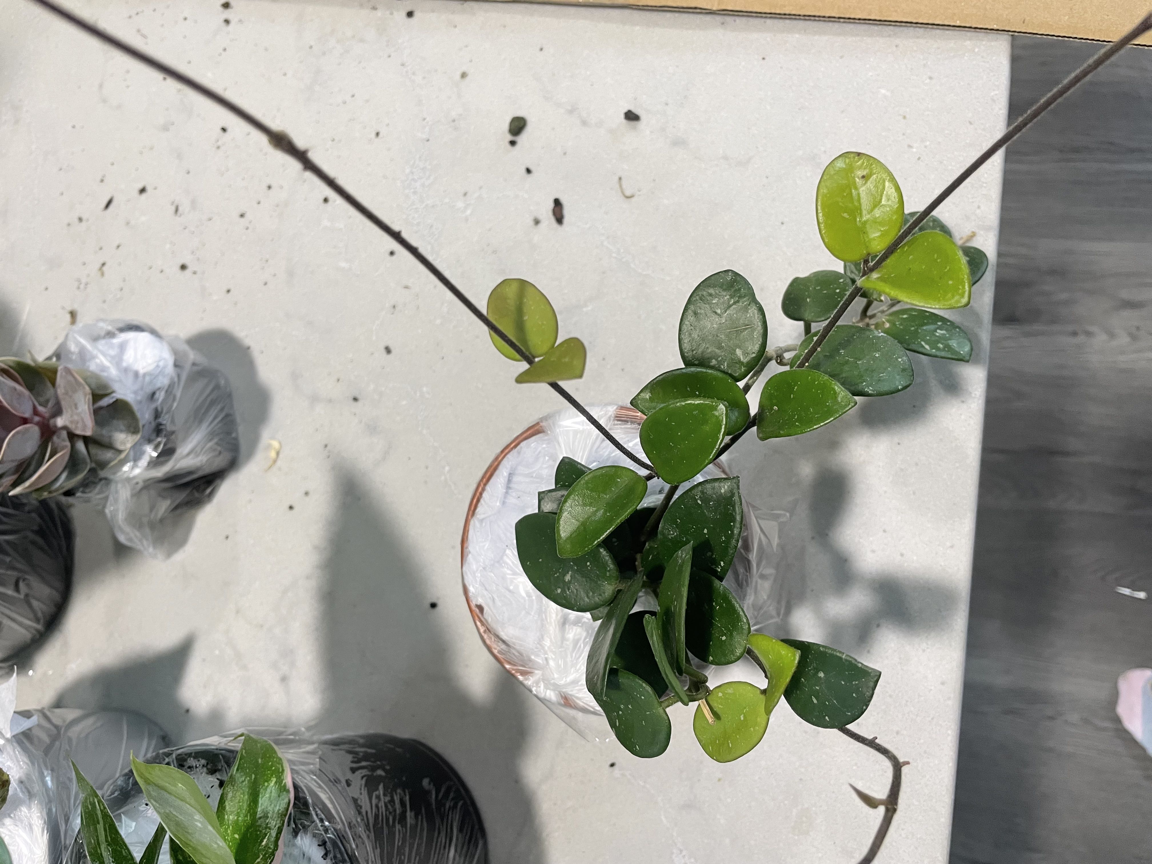Photo from the post