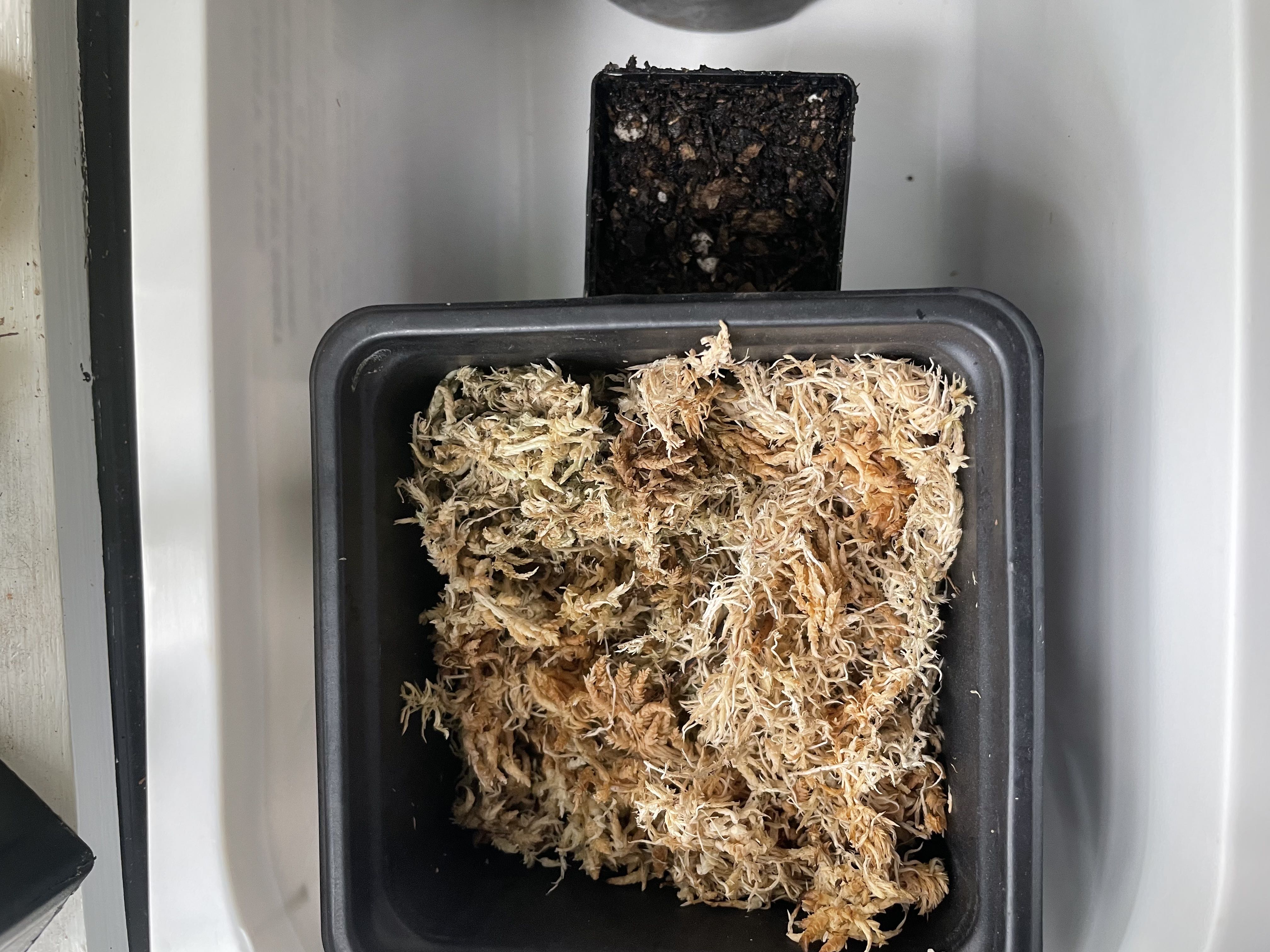Photo from the post
