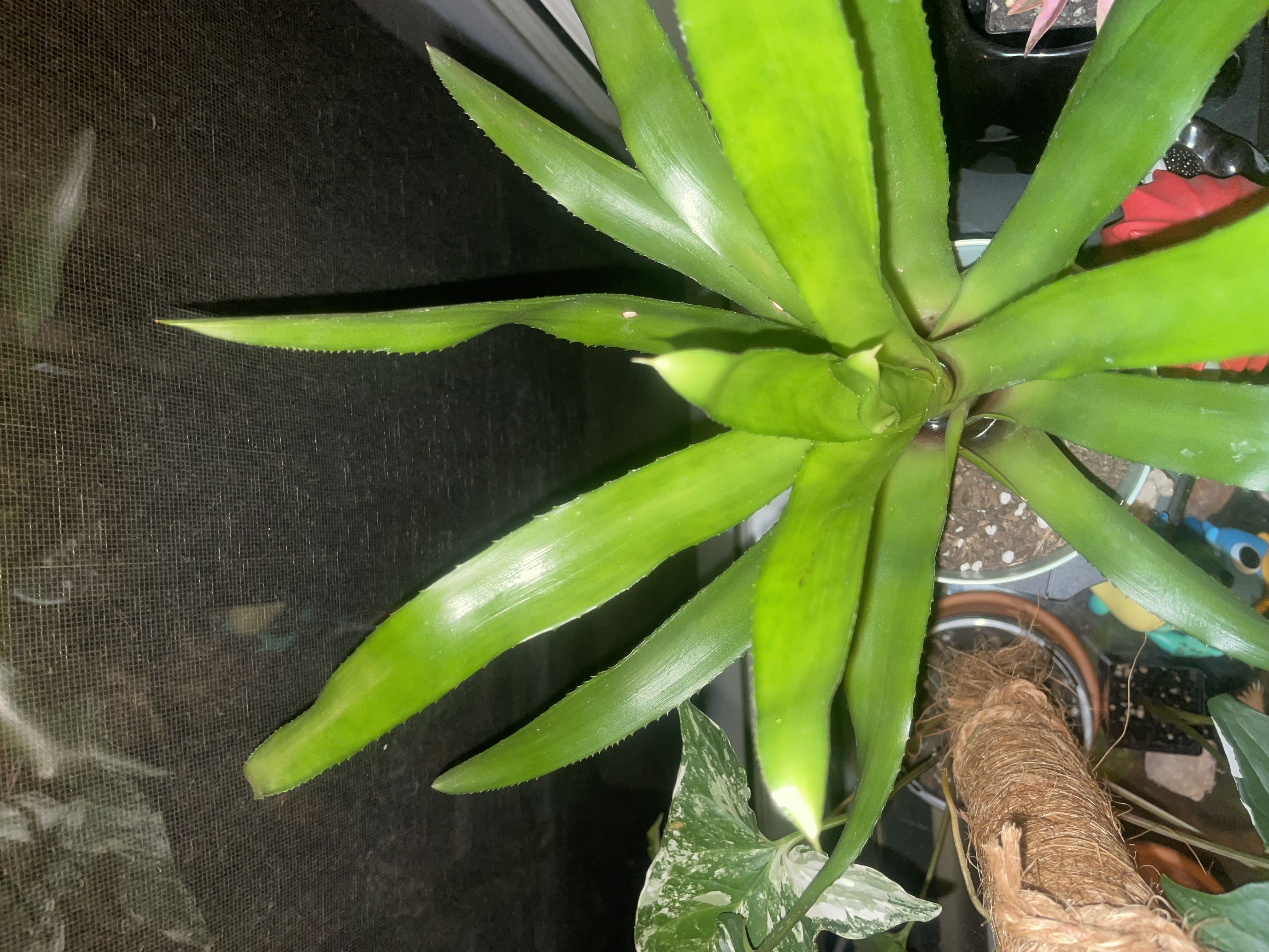 Photo from the post