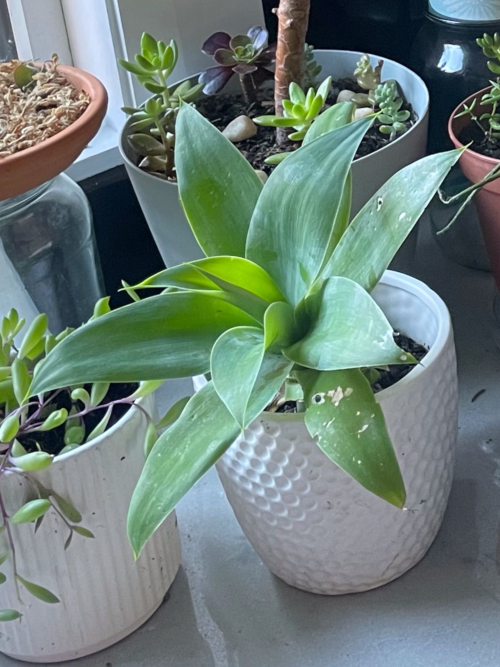 Photo from the post