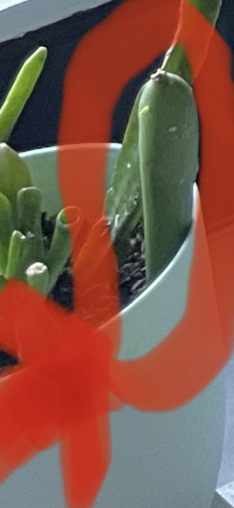 Photo from the post