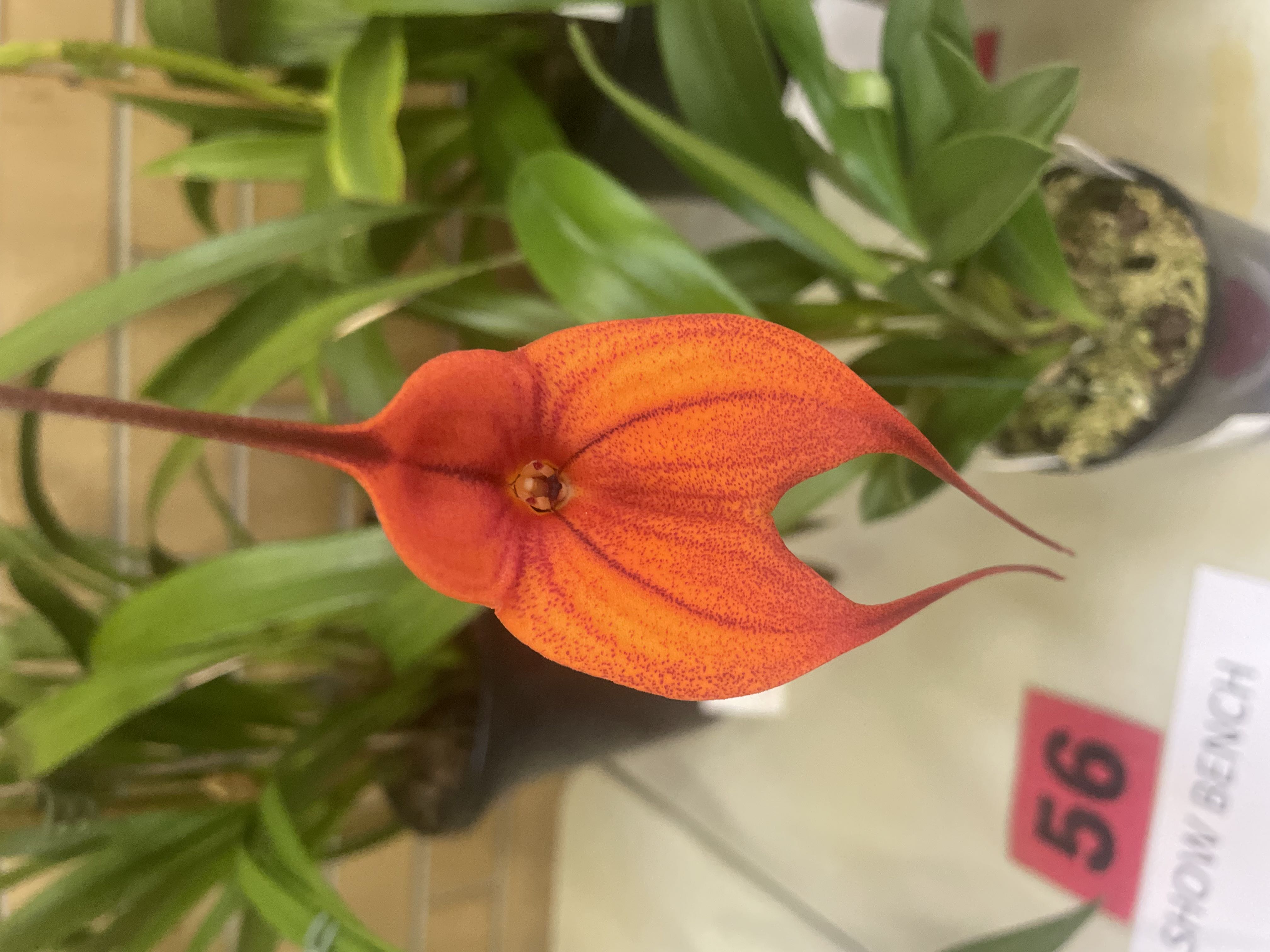 Photo from the post