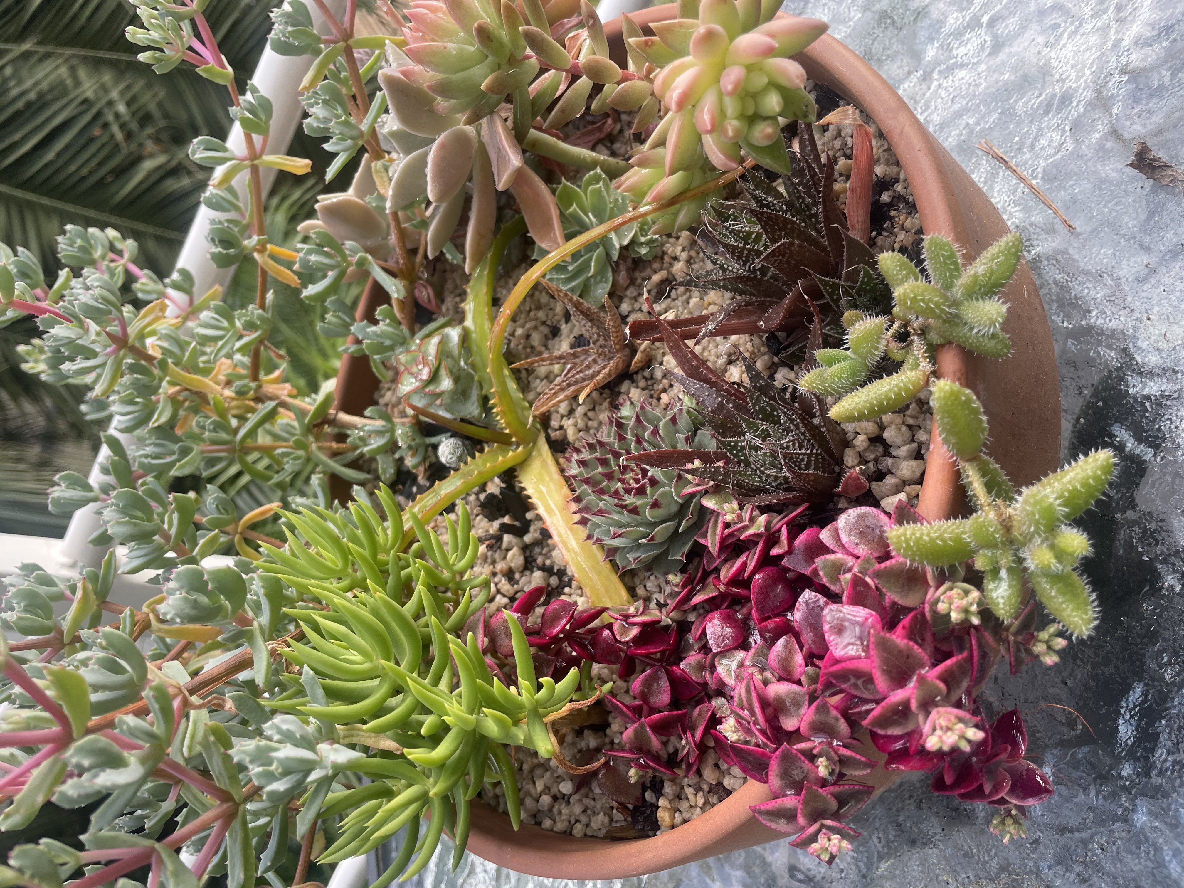 Photo from the post