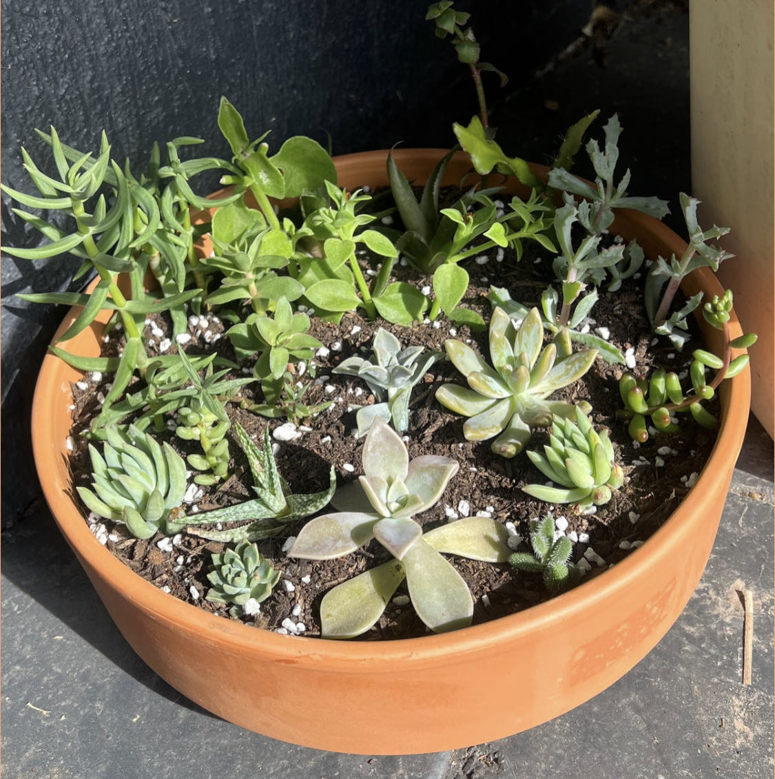 Photo from the post