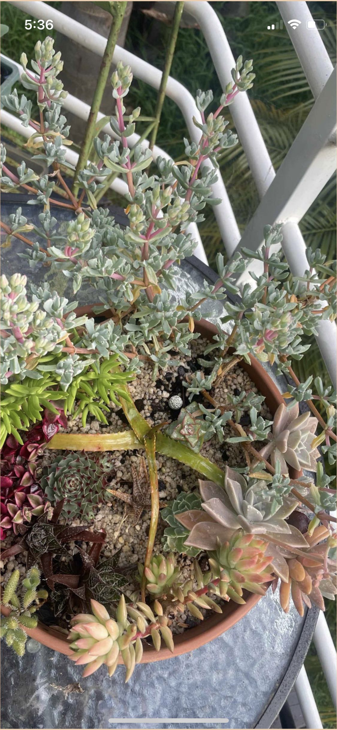 Photo from the post