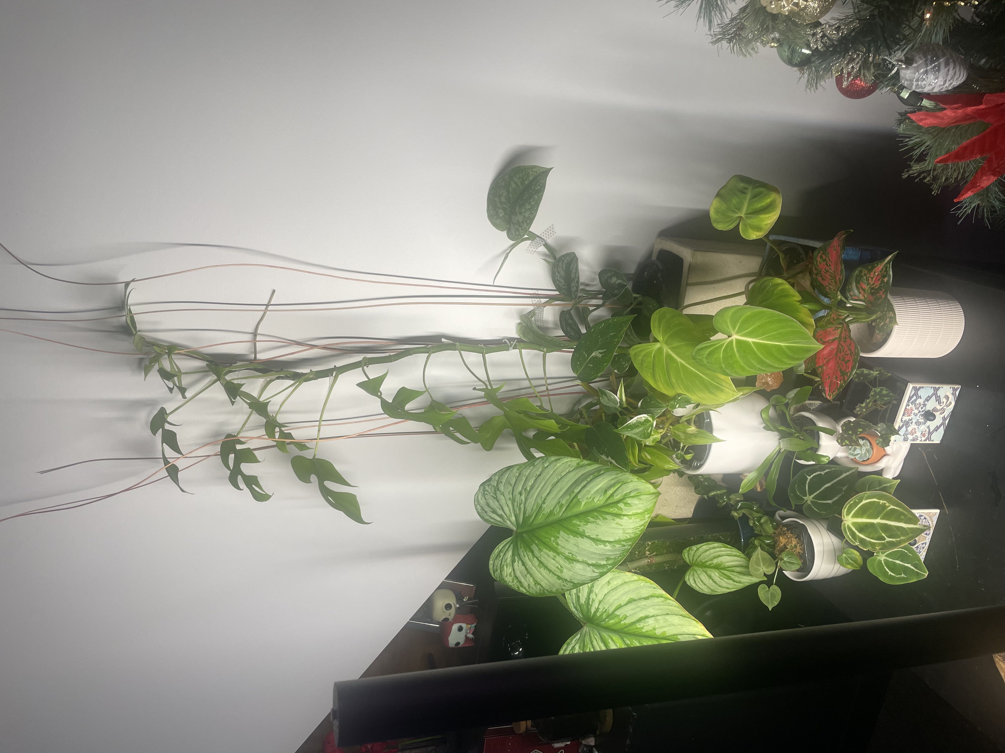 Photo from the post