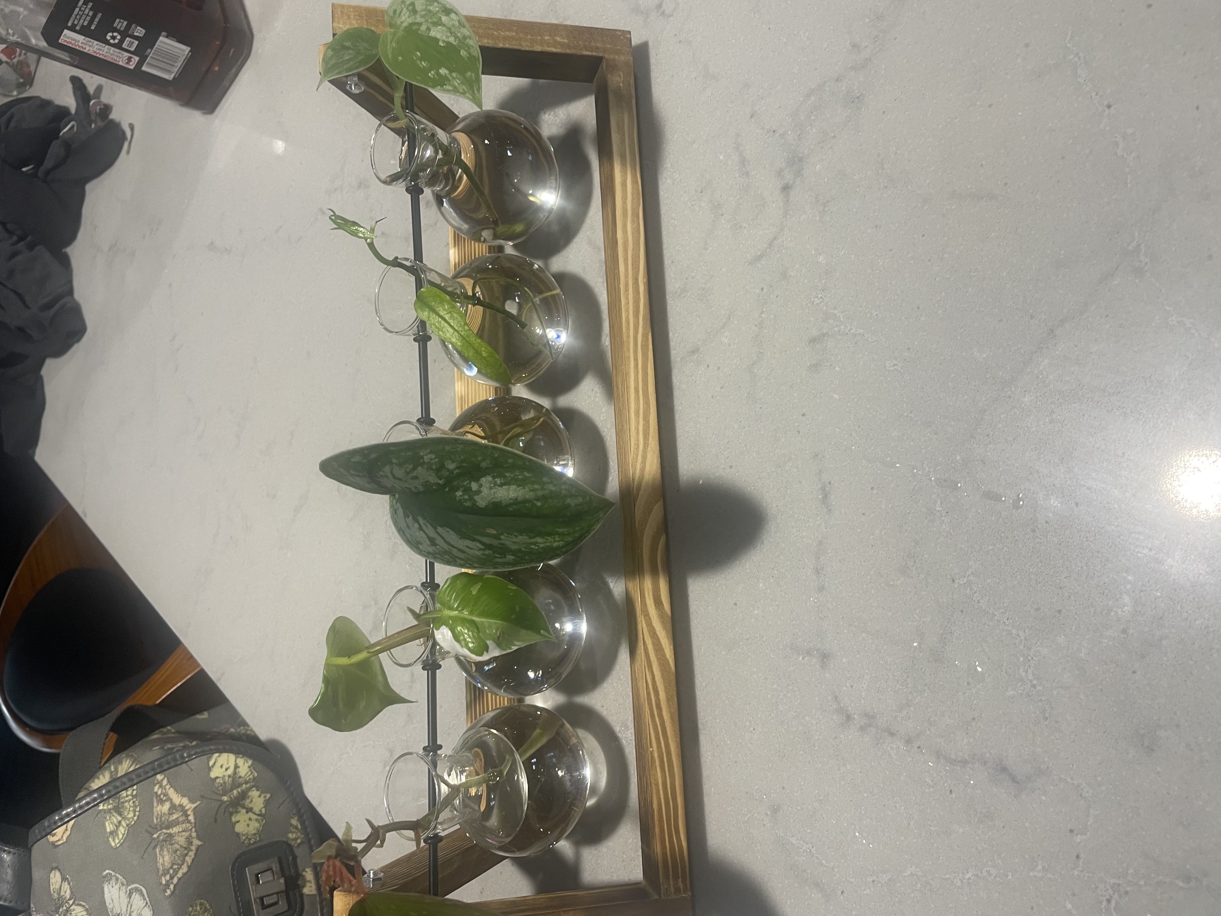 Photo from the post