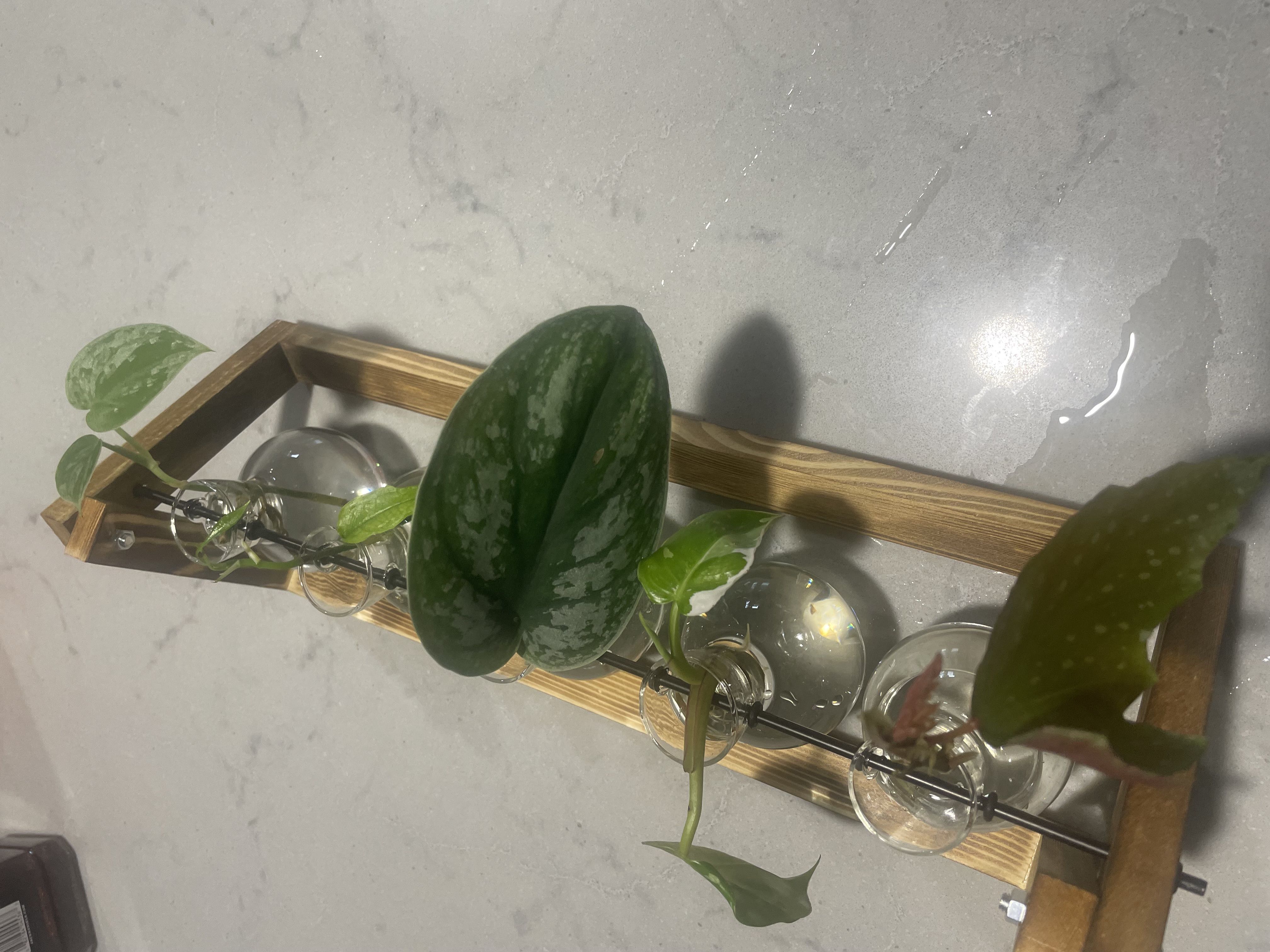 Photo from the post