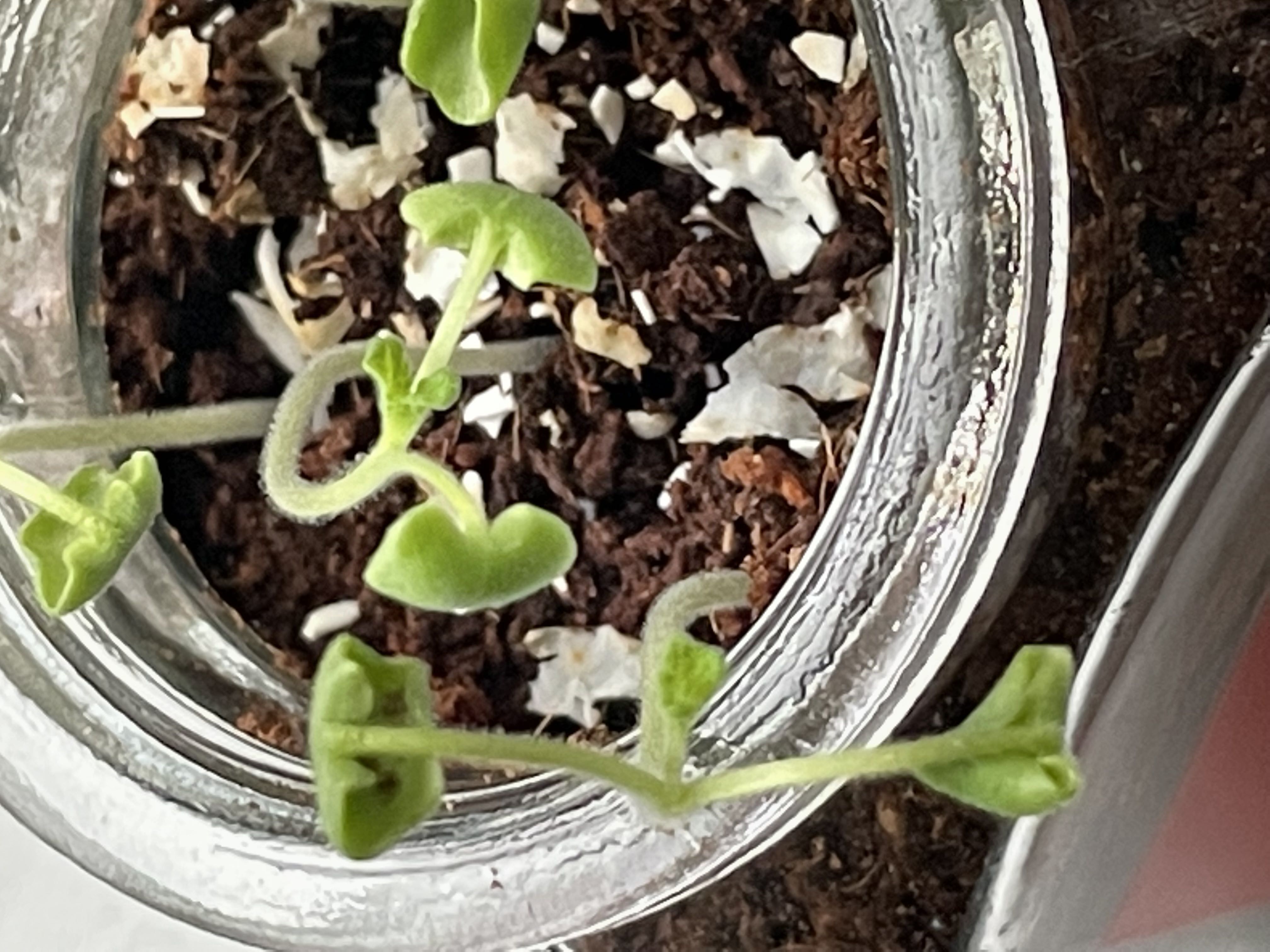 Photo from the post