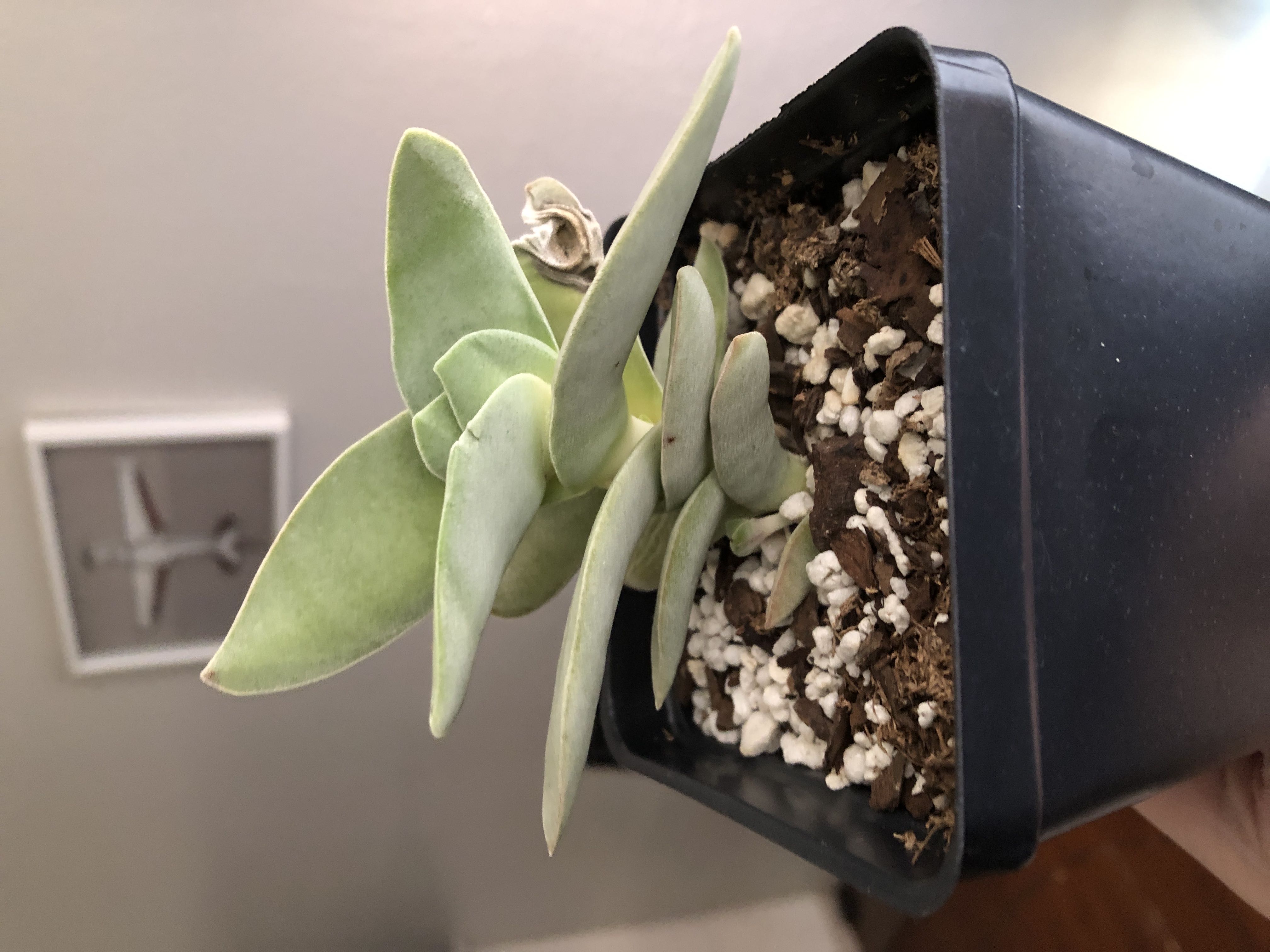 Photo from the post