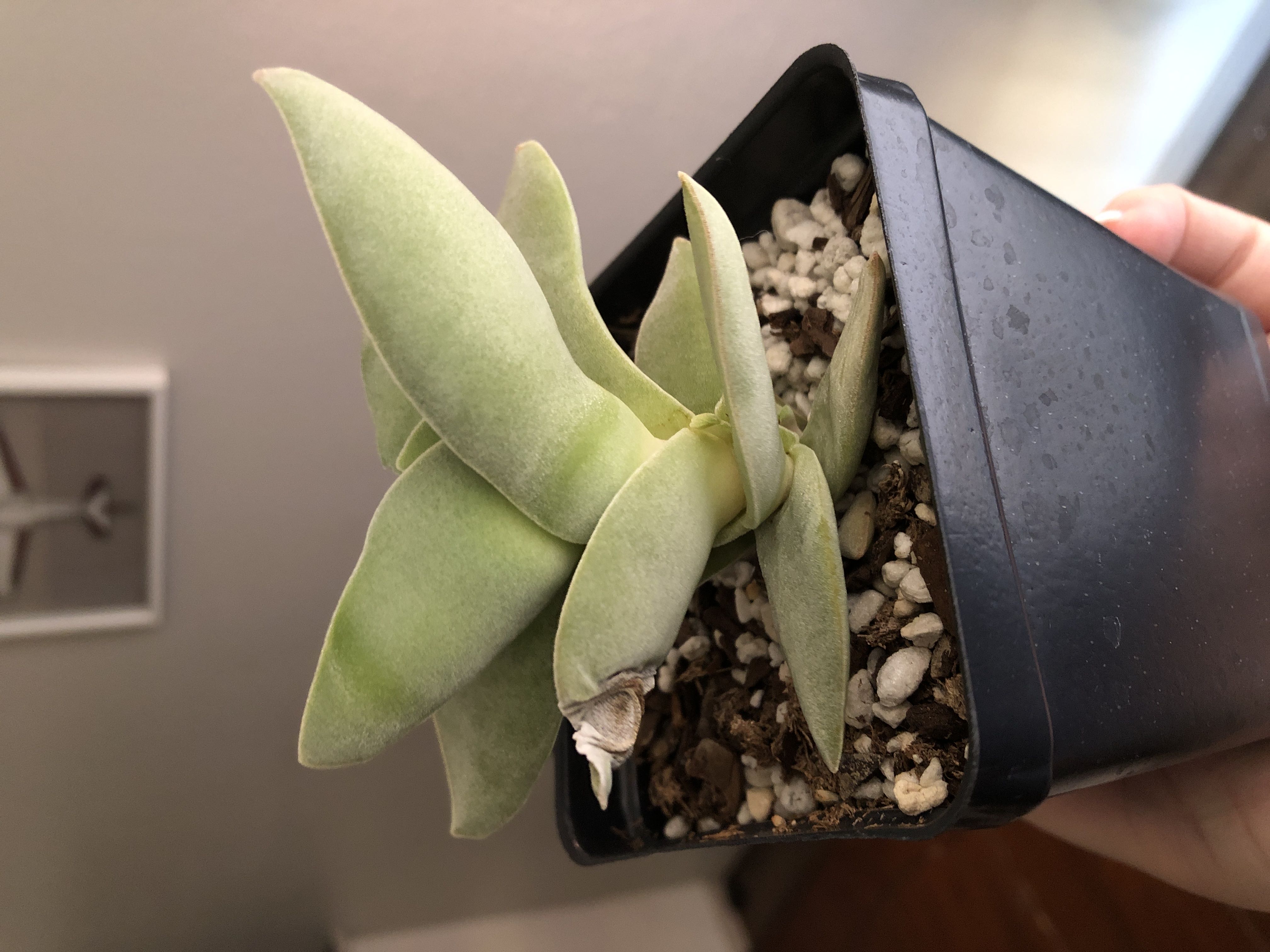 Photo from the post
