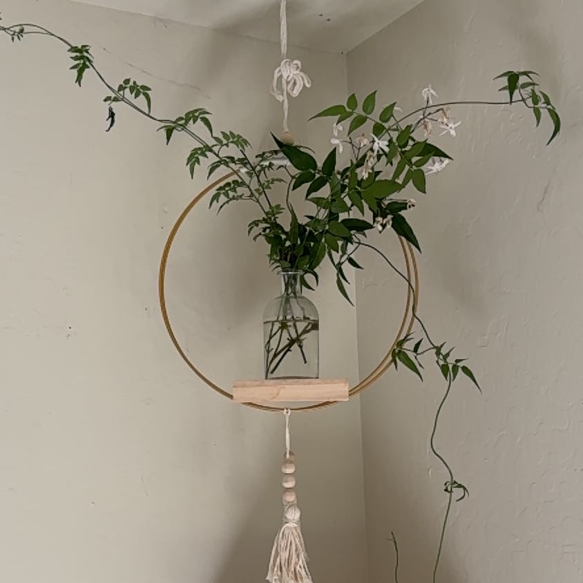 Pink Jasmine plant in a decorative hanging vase with white flowers and green leaves.