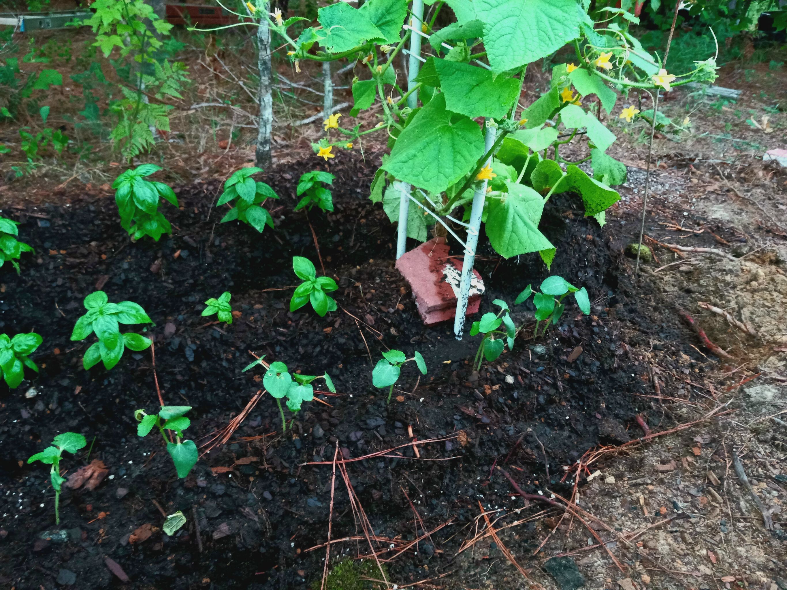 Photo from the post