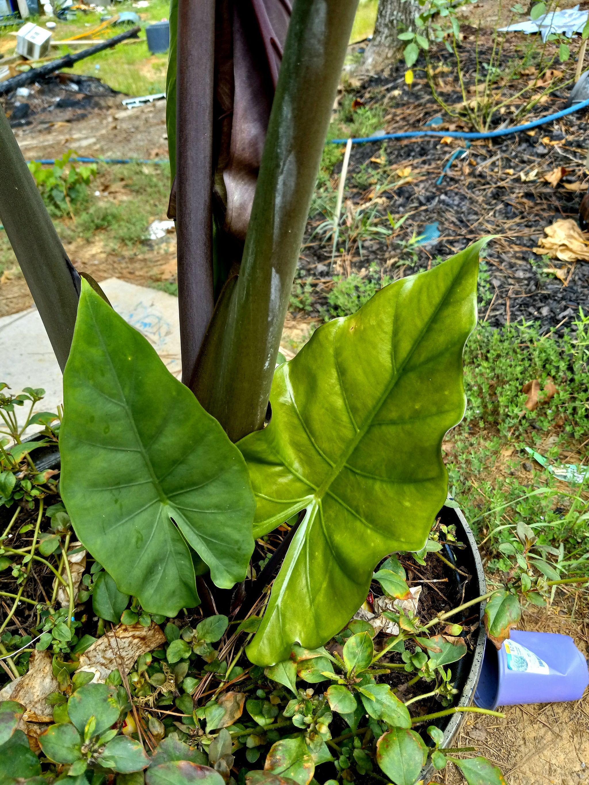 Photo from the post
