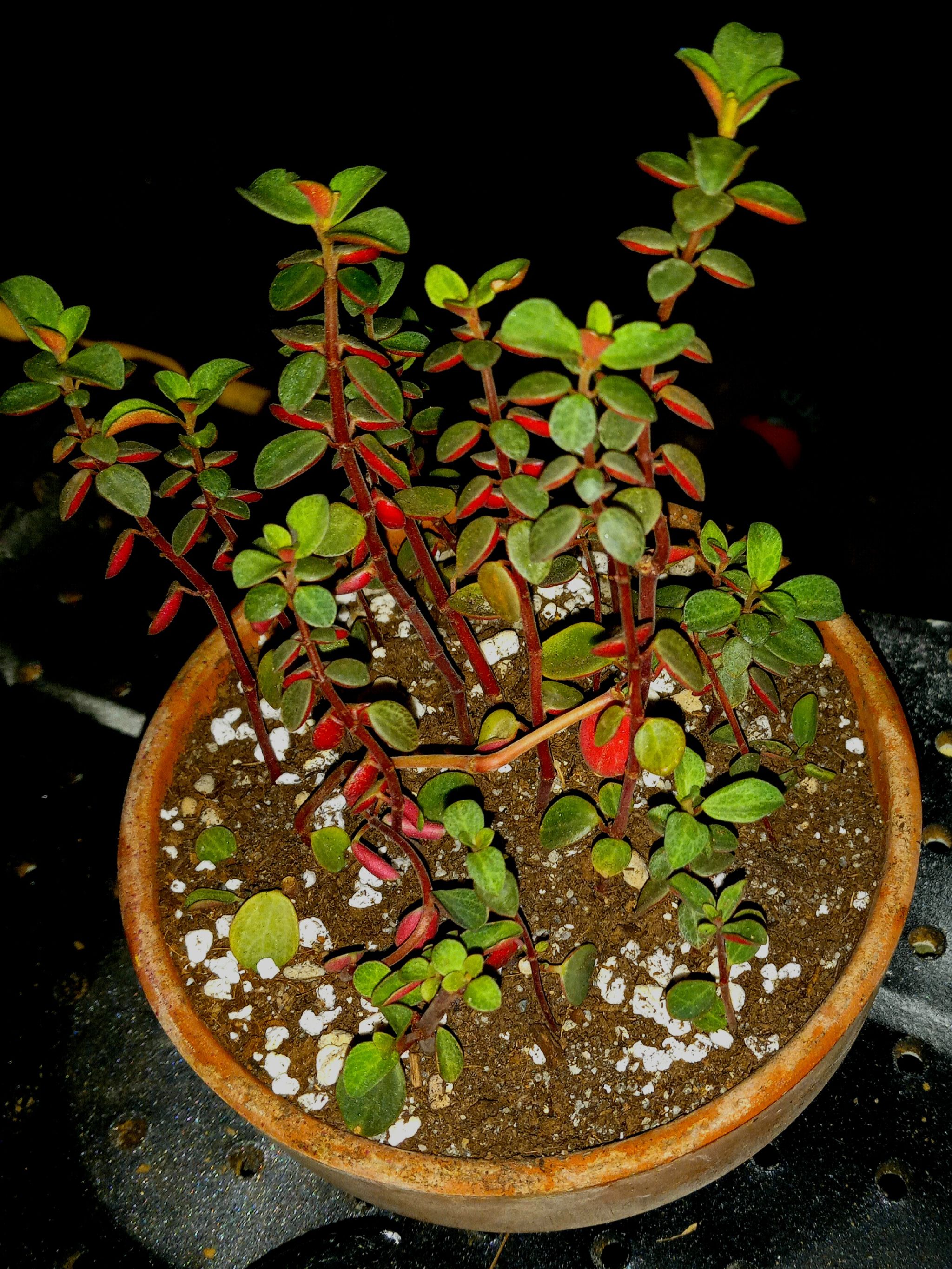 Photo from the post