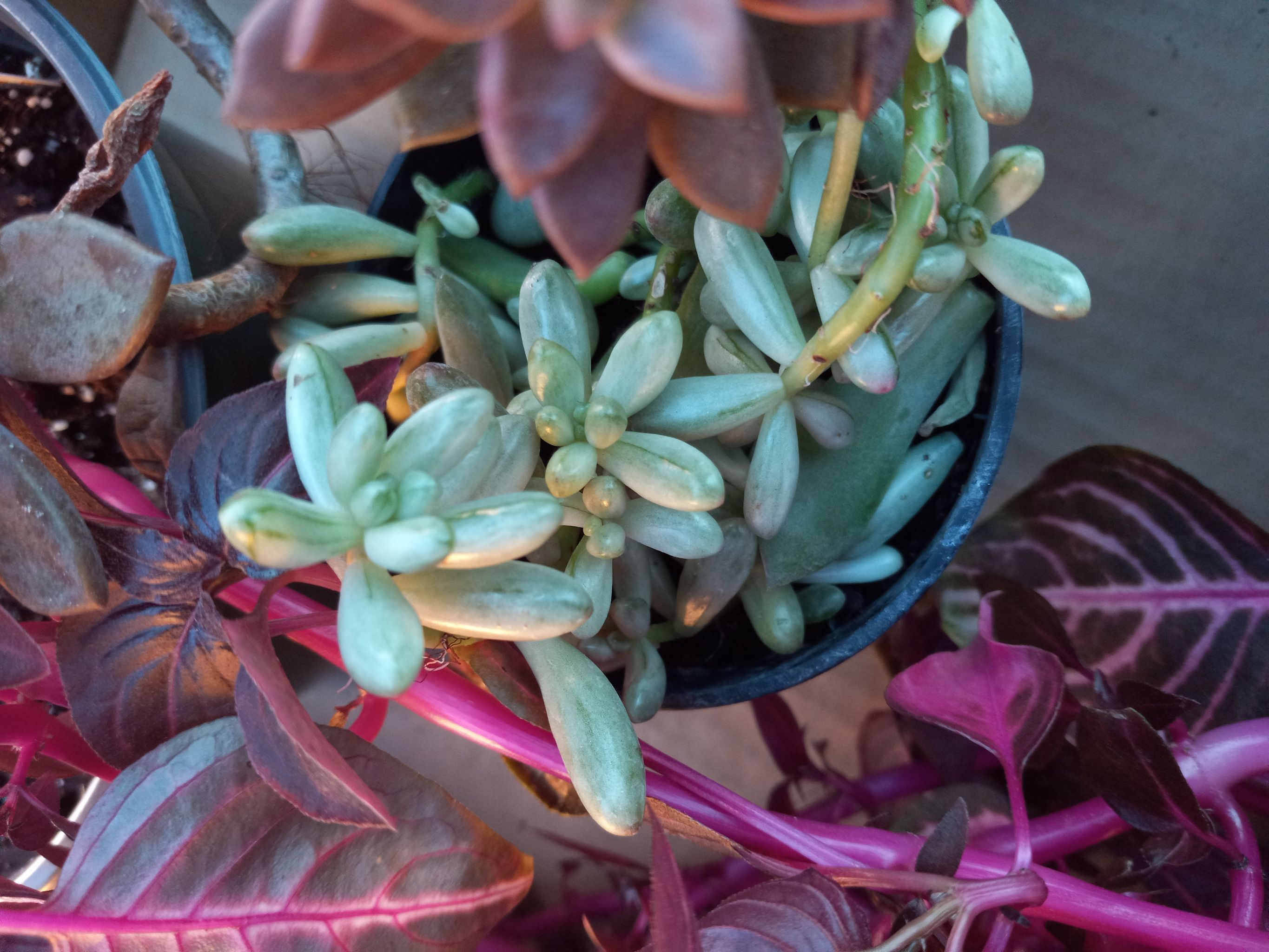Photo from the post